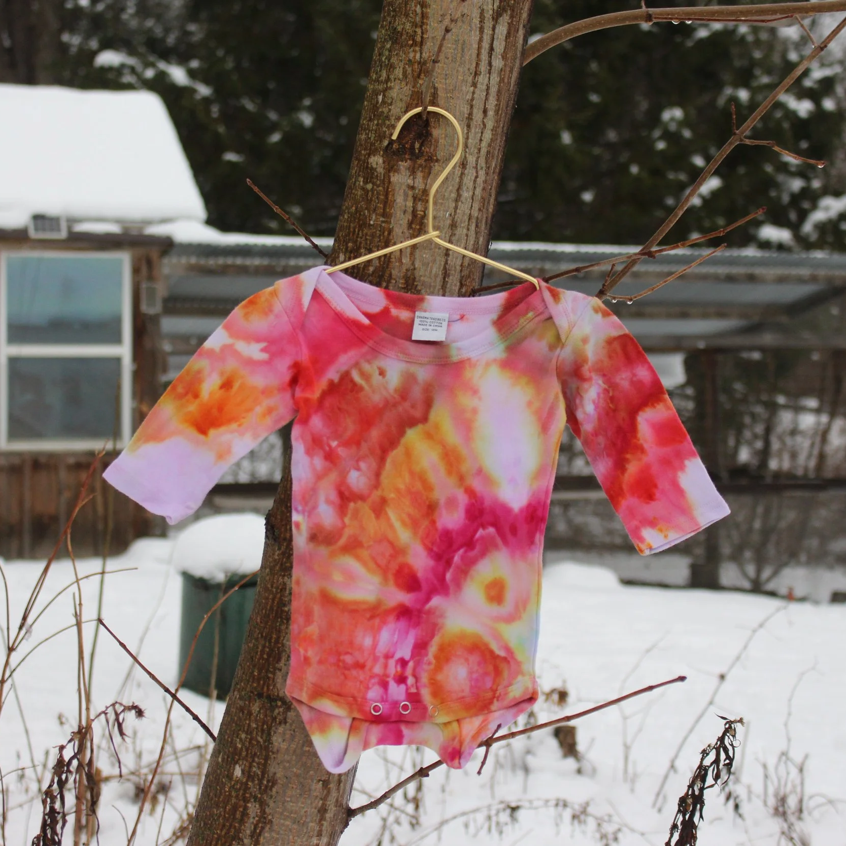 Baby Onesie - 12M Long Sleeve