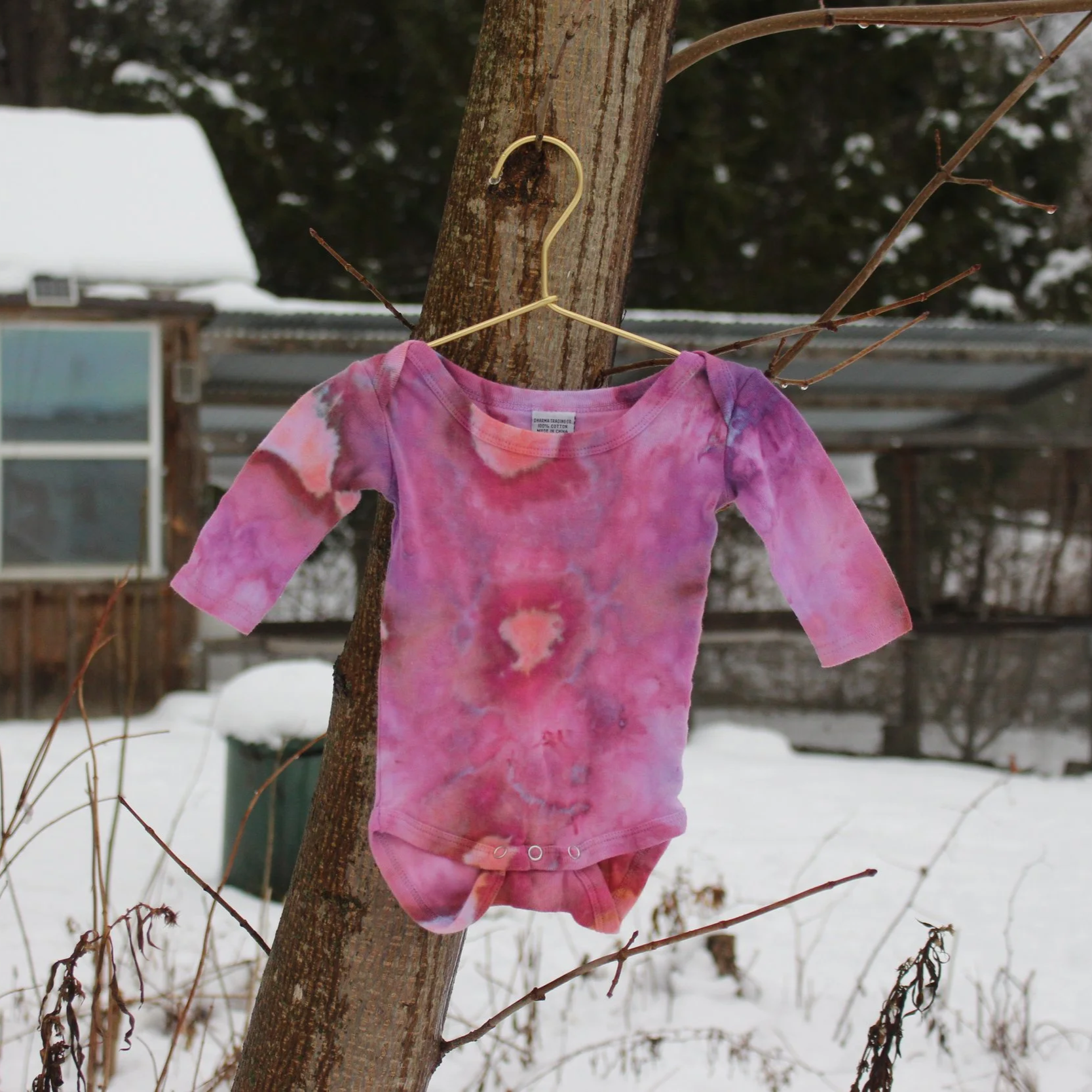 Baby Onesie - 6M Long Sleeve