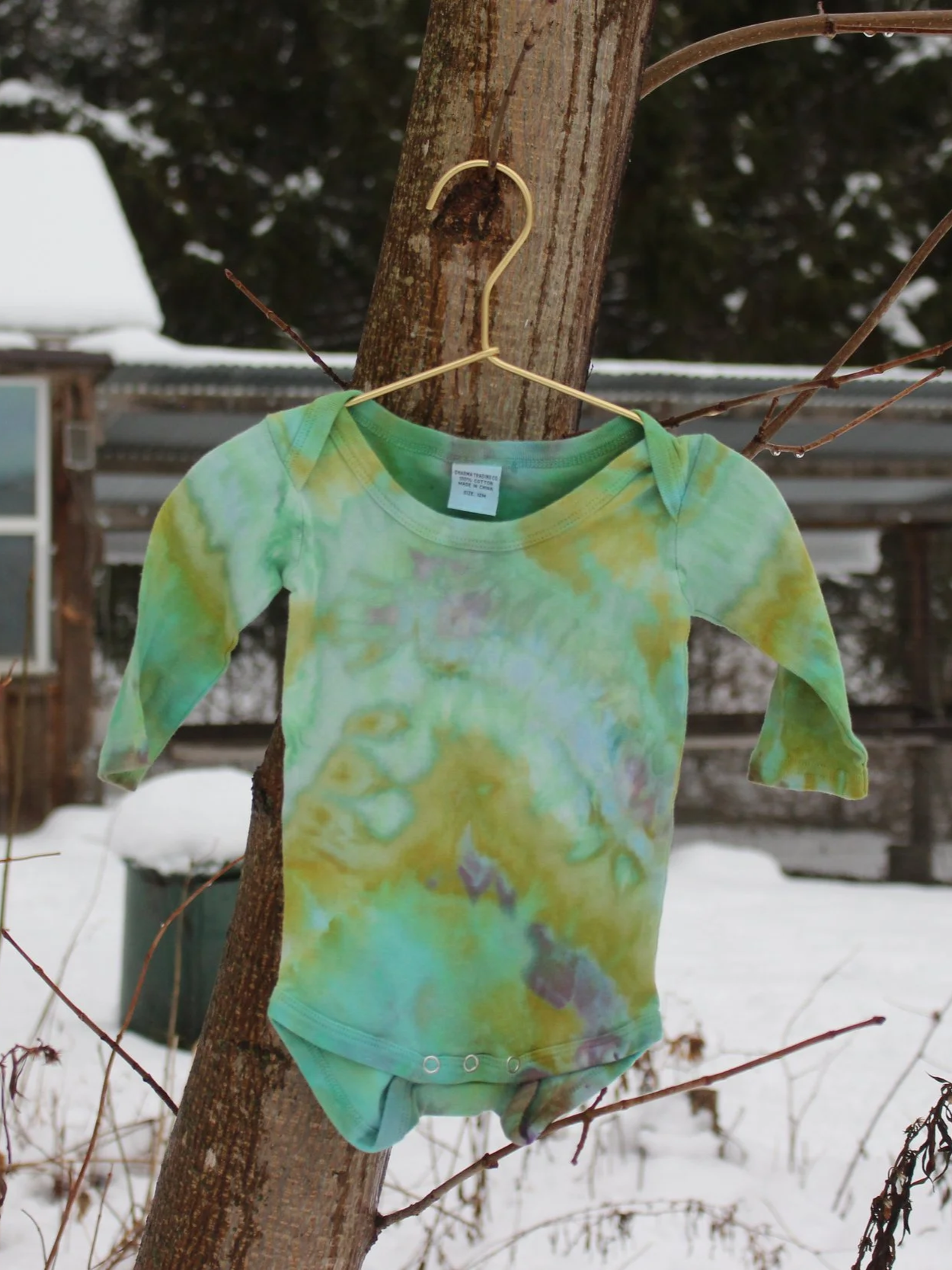 Baby Onesie - 12M Long Sleeve