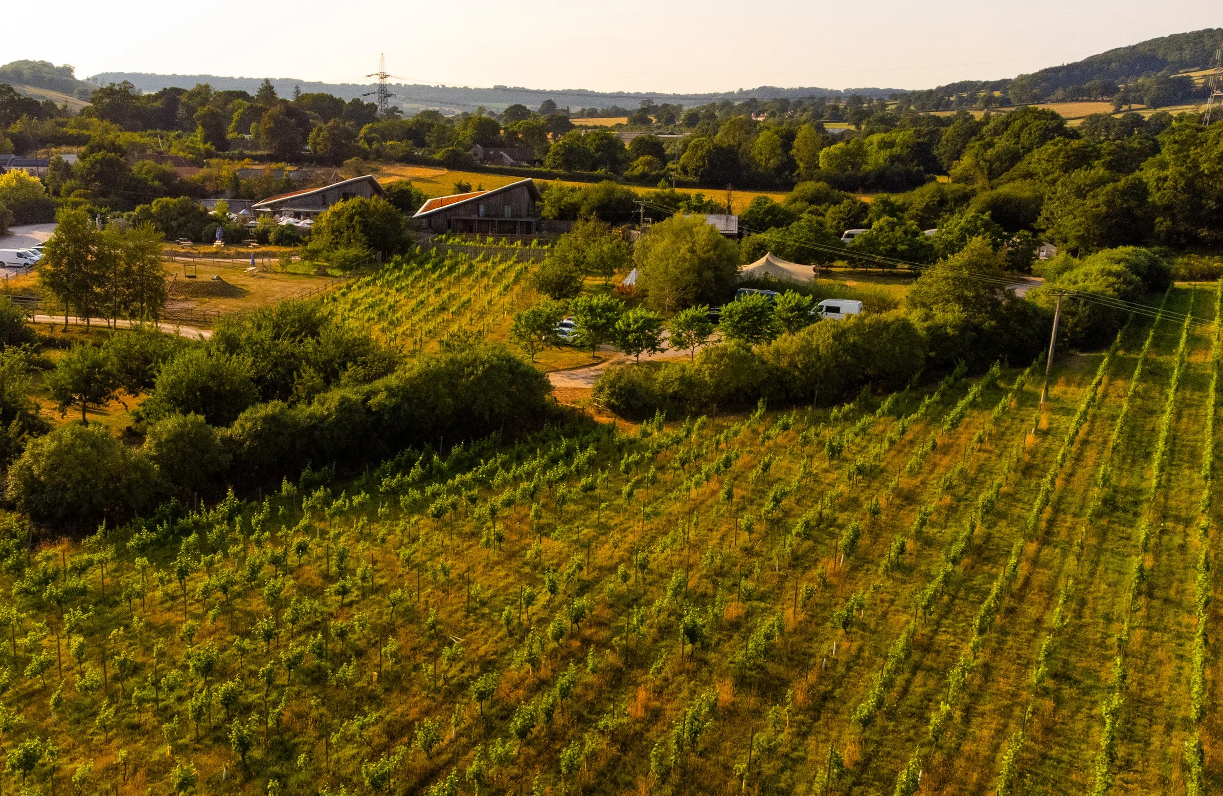 HERON FARM DRONE FINALS 2-55.jpg