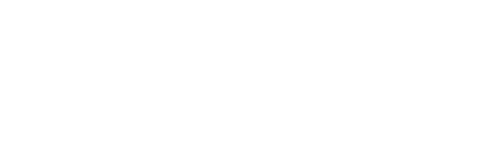 Noelle Ganeles Design
