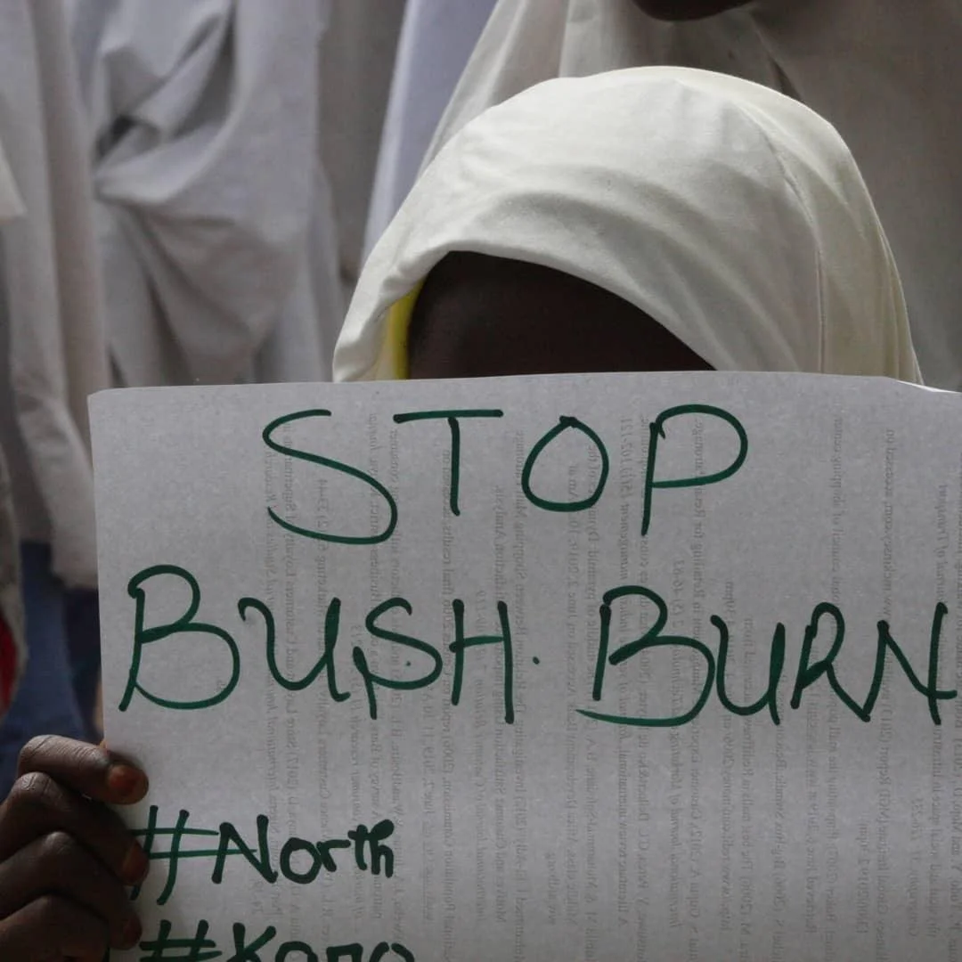 WhatsApp Image 2025-12-09 at 12.40.02.jpeg