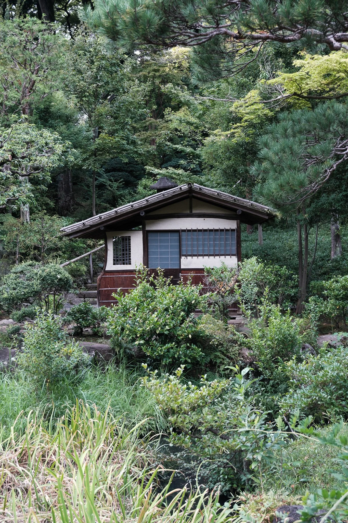 Ein traditionelles japanisches Gartenhaus ist von üppigem Grün umgeben, mit Büschen, Bäumen und Gräsern im Vordergrund.