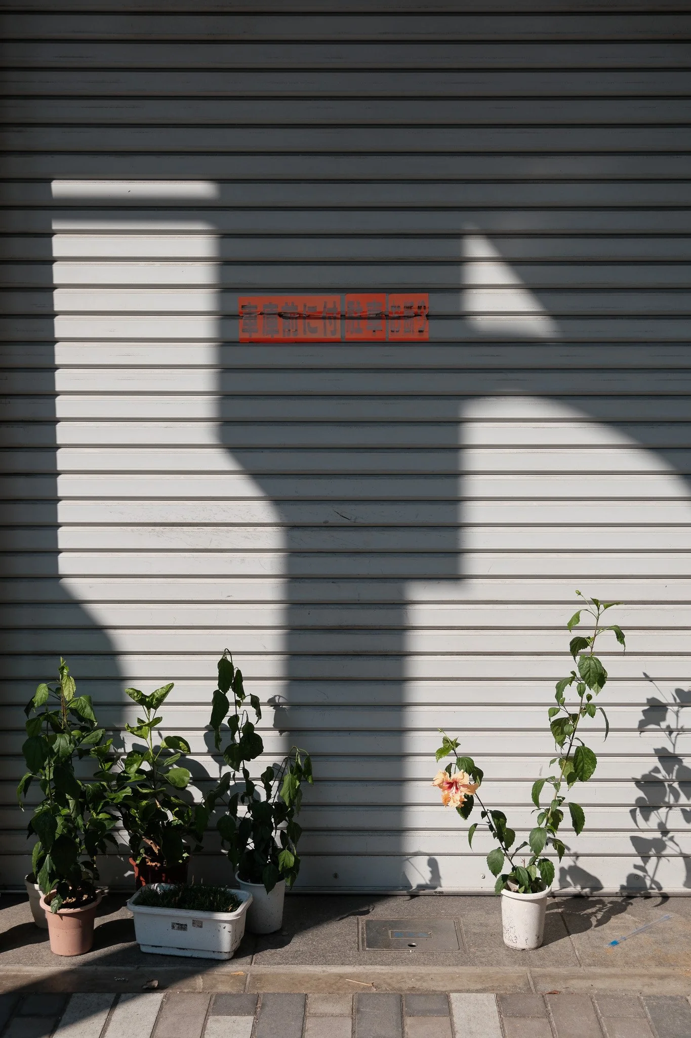 Schatten einer Hand und eines Daumens sind auf einer geschlossenen, horizontal lamellenartigen Metalltür sichtbar. Auf dem Tür befindet sich eine rote Warnschilder mit schwarzer Aufschrift. Vor der Tür stehen fünf Pflanzen in Töpfen.