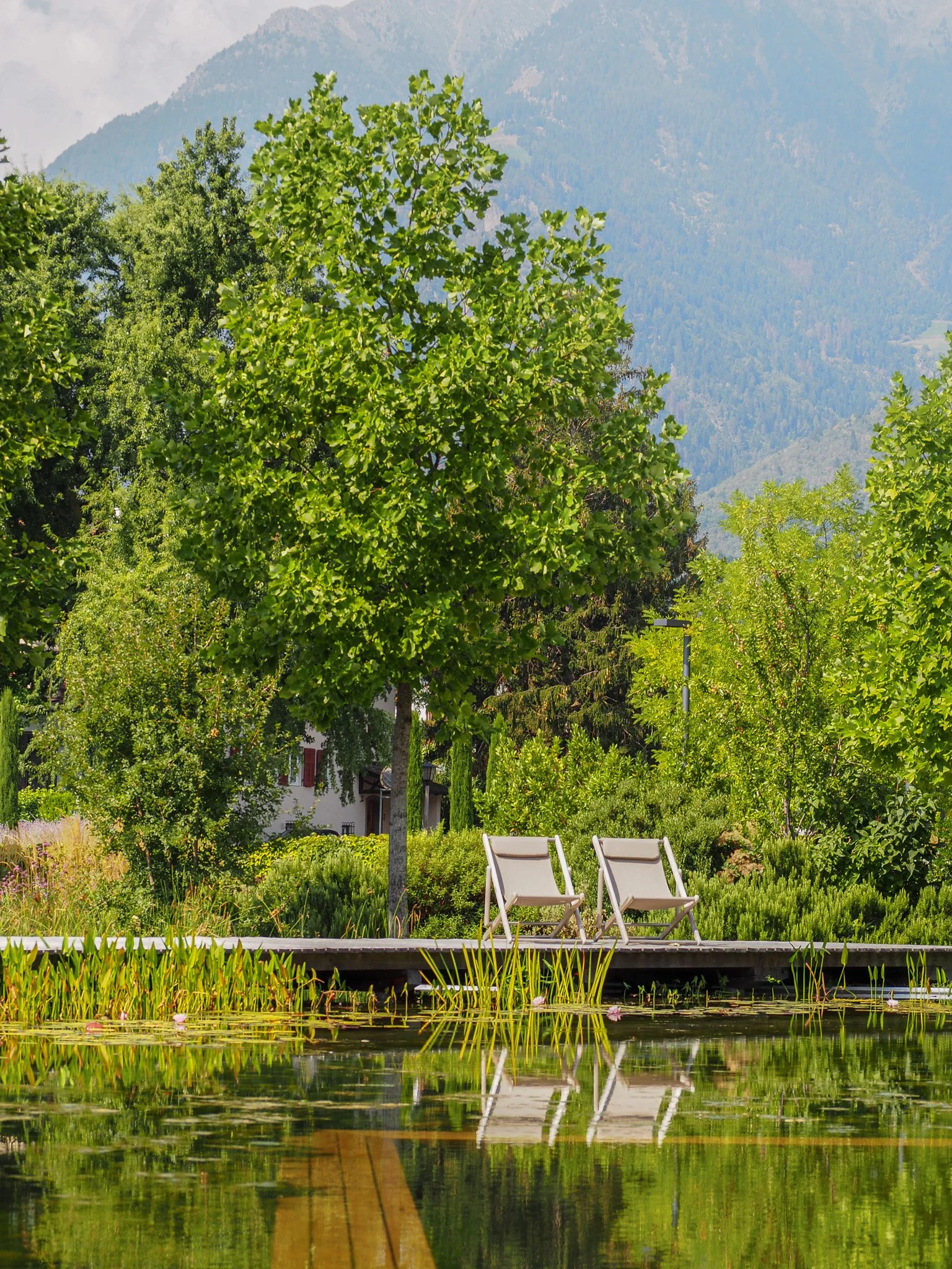 Zwei leere Liegestühle am Ufer eines Sees mit Seerosen, umgeben von grünen Bäumen und Bergen im Hintergrund.