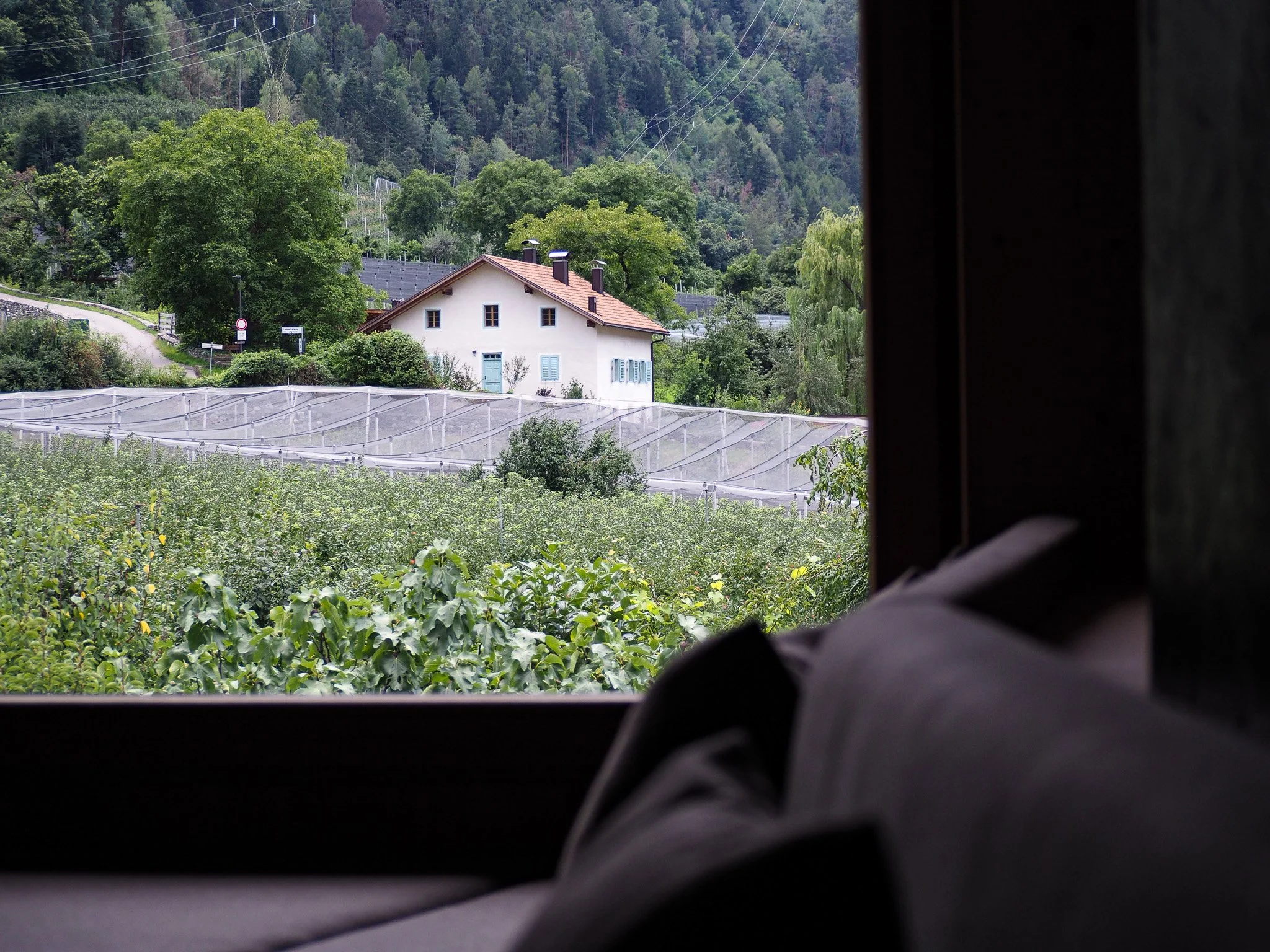 Blick durch ein Fenster auf eine grüne Hügellandschaft mit einem weißen Haus, Bäumen, einer Weide und Bergen im Hintergrund, mit sichtbaren Hochspannungsleitungen.