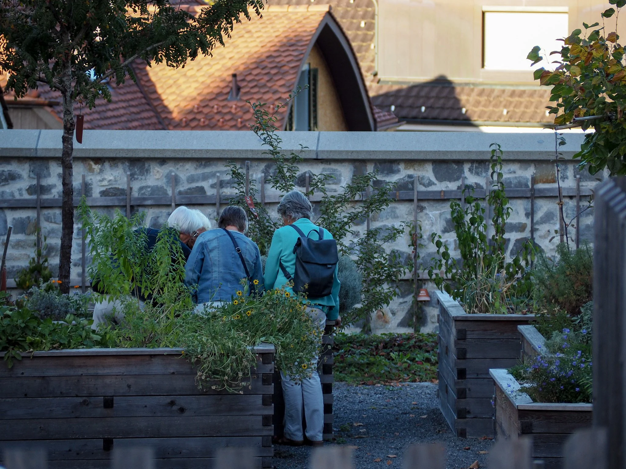 Drei ältere Menschen betrachten Pflanzen in einem Gemeinschaftsgarten, umgeben von Holzbeeten, im Hintergrund eine Steinmauer und Dächer von Häusern.