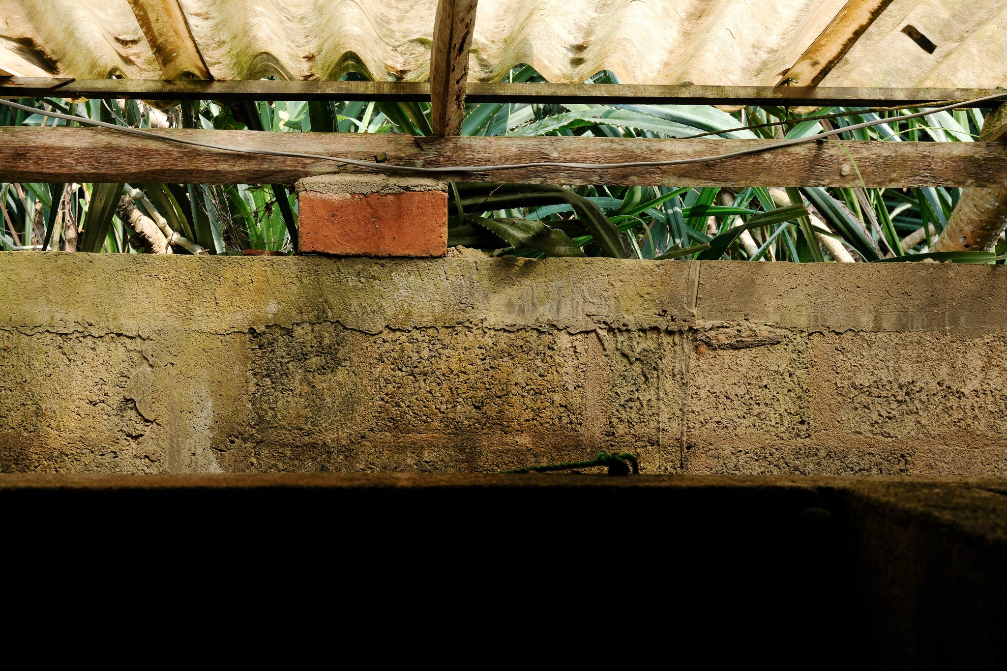 Blick auf eine betonierte Mauer mit einer hölzernen und einer Ziegelbaustufe, im Hintergrund grüne Pflanzen.