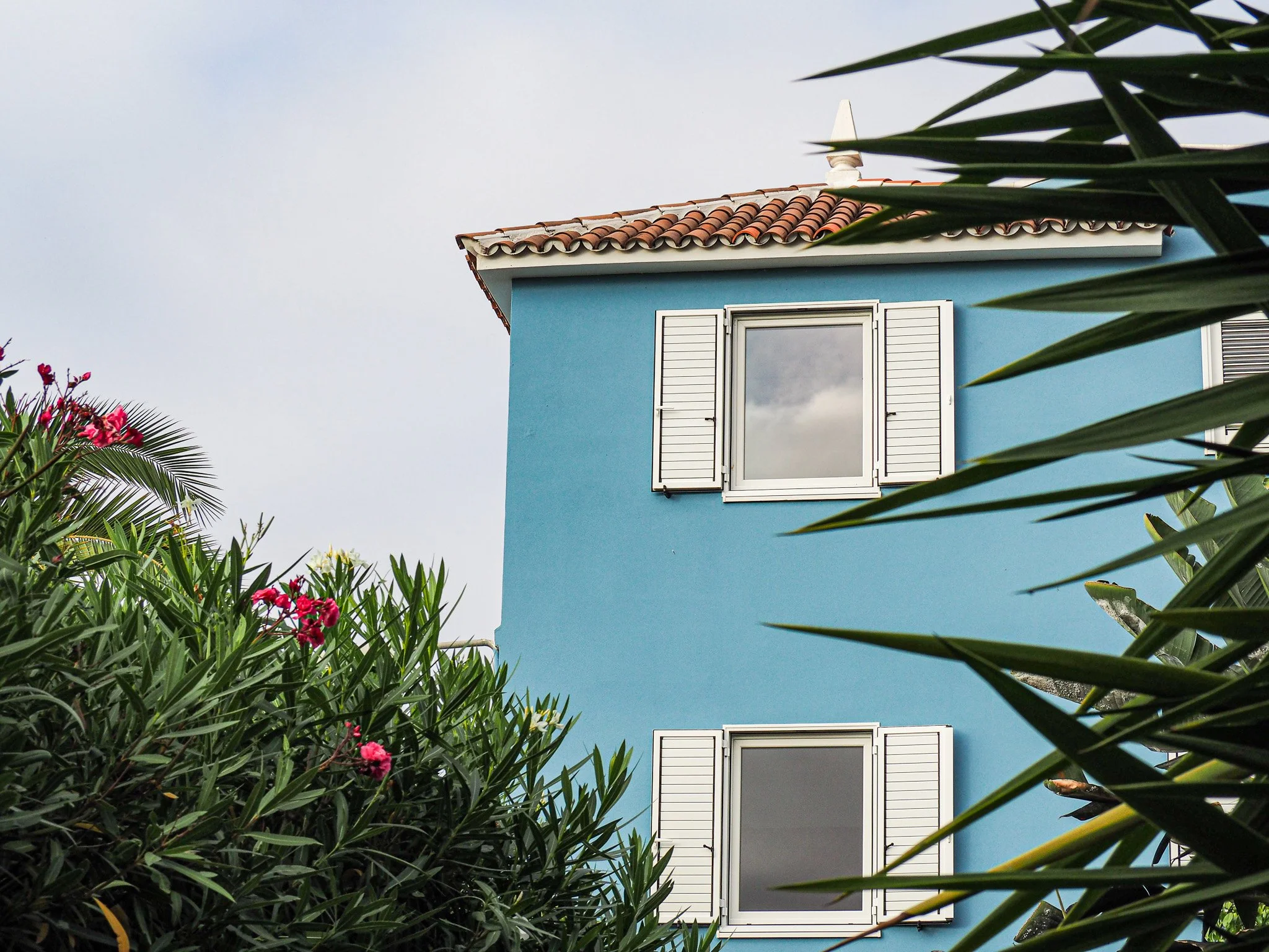 Blaue Häuserwand mit weißen Fensterläden, umgeben von grünem Gebüsch und Pflanzen.
