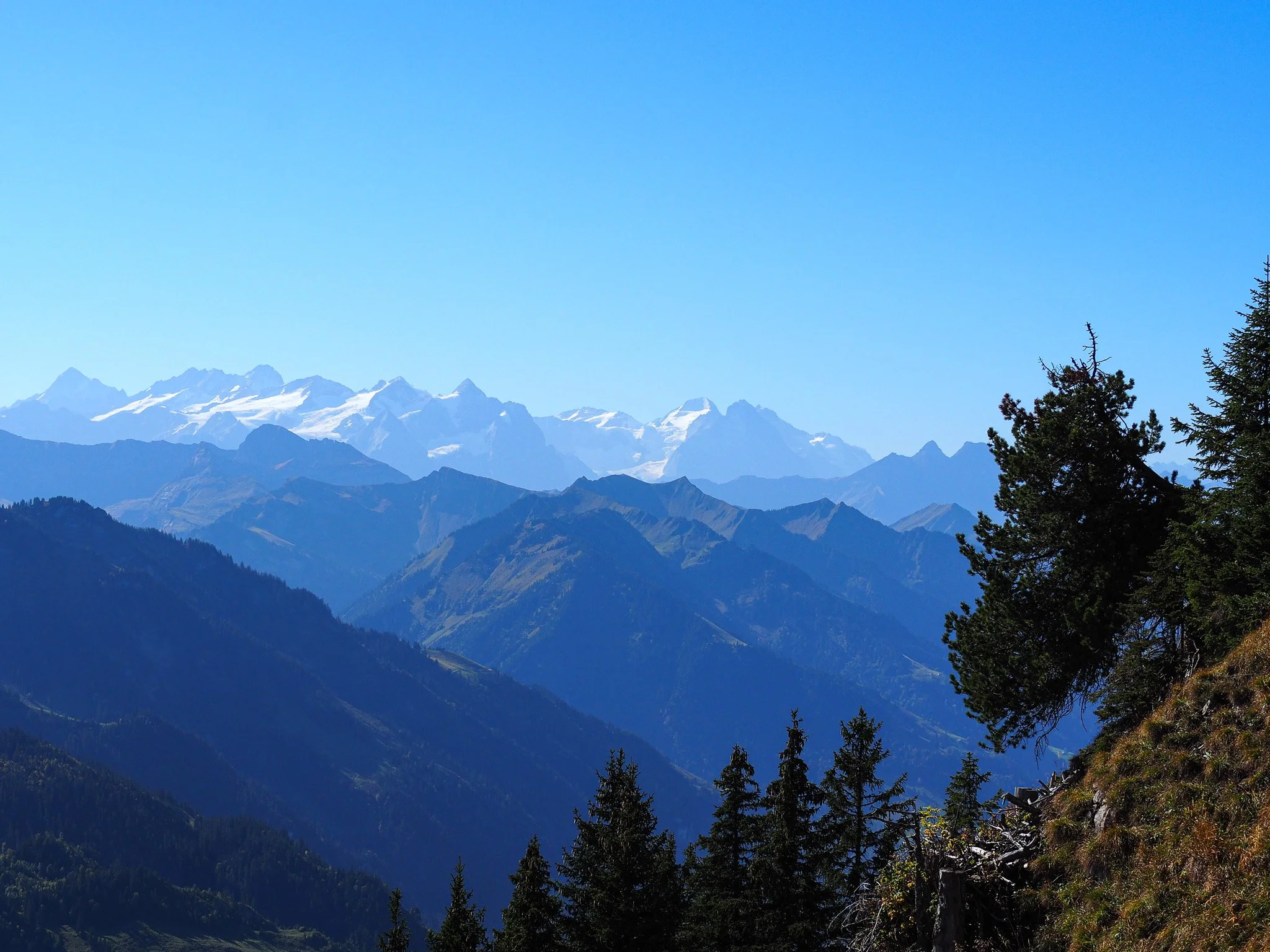 Berglandschaft mit mehreren Bergketten, einige mit Schnee bedeckt, und Nadelbäume im Vordergrund an einem sonnigen Tag.