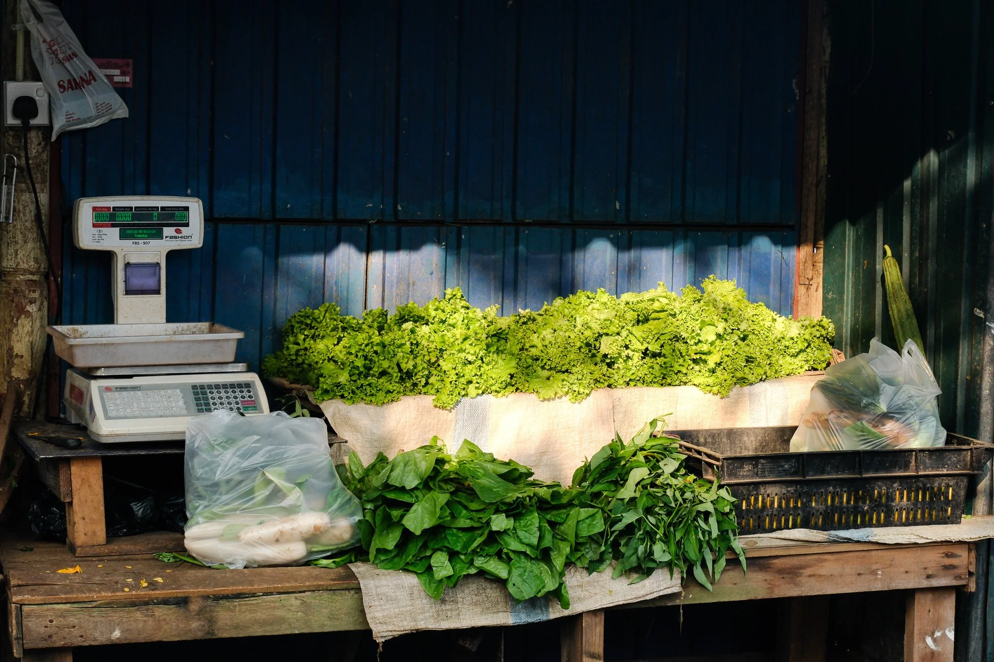 An outdoor market stall with fresh green lettuce and leafy vegetables, a weighing scale, and plastic bags, set against a blue corrugated metal wall.
