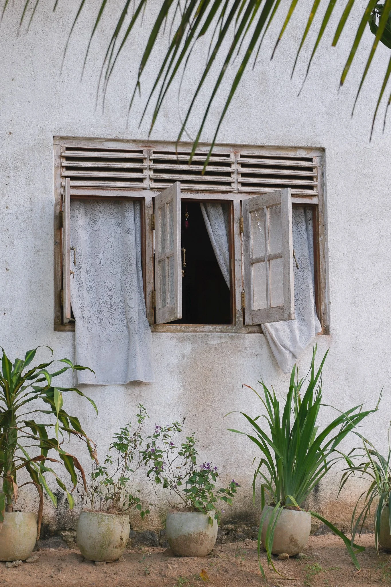 Ein Fenster mit hölzernen Fensterläden an einer weißen Wand, umgeben von Pflanzen in Tontöpfen.