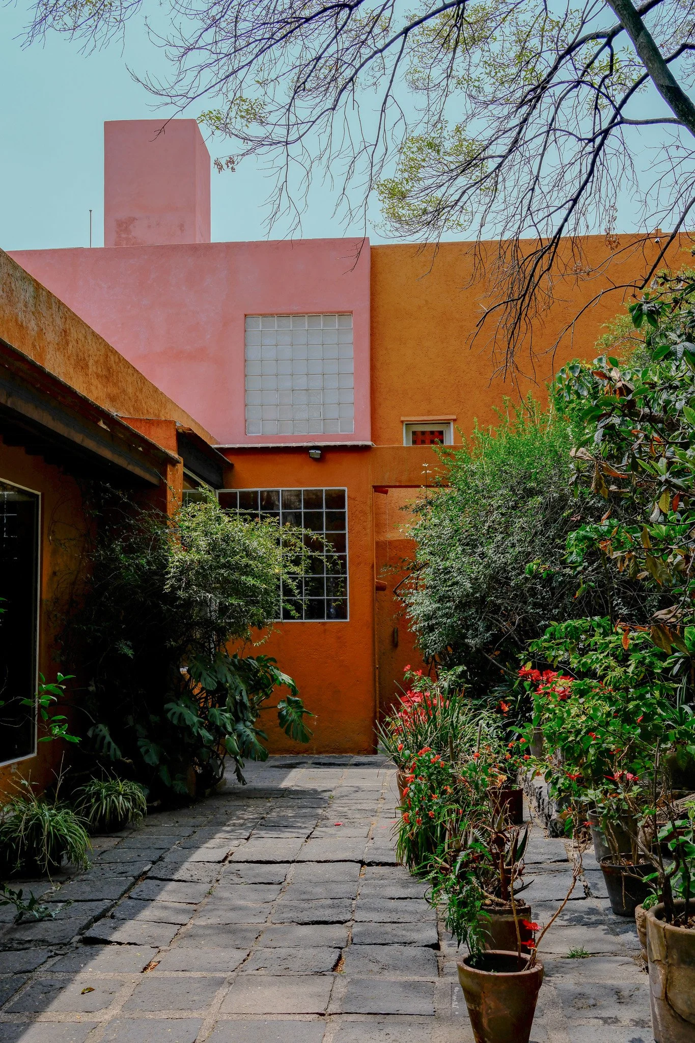 Ein ruhiger Garten mit gepflastertem Weg, umgeben von grünen Pflanzen und Bäumen, vor bunten Gebäuden in warmen Farbtönen, blauer Himmel im Hintergrund.