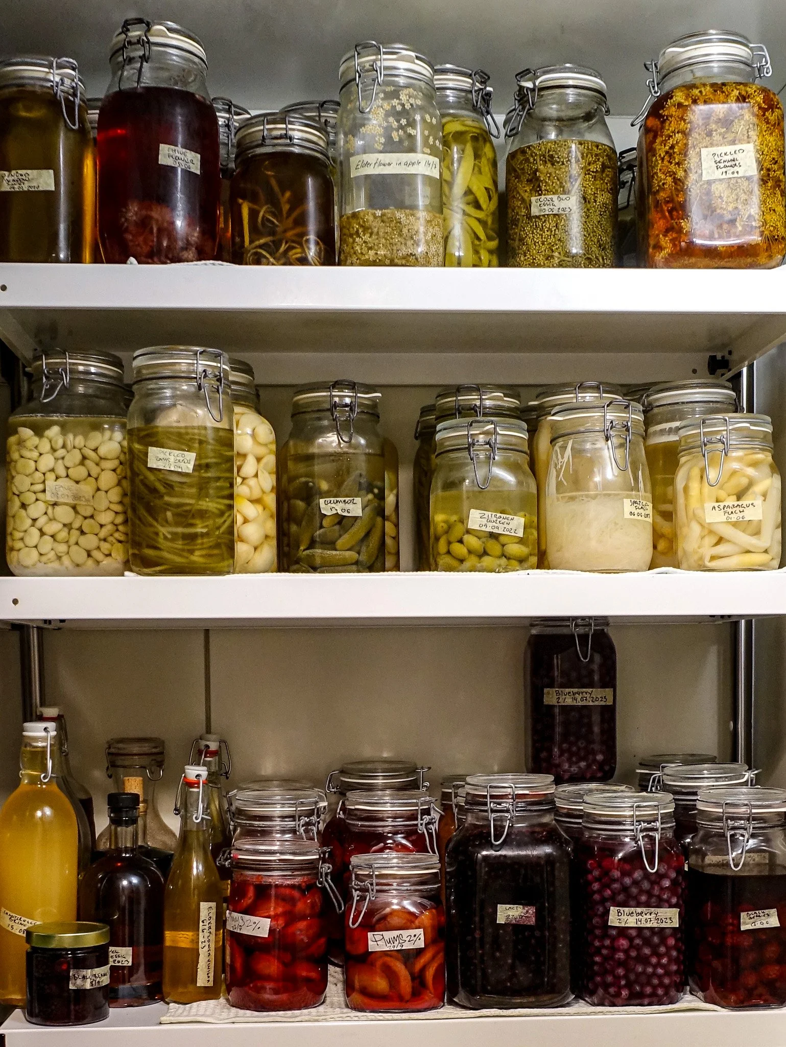 Vorratsregale mit Gläsern voller eingemachtem Obst, Gemüse, Kräutern und Gewürzen in verschiedenen Farben und Größen.