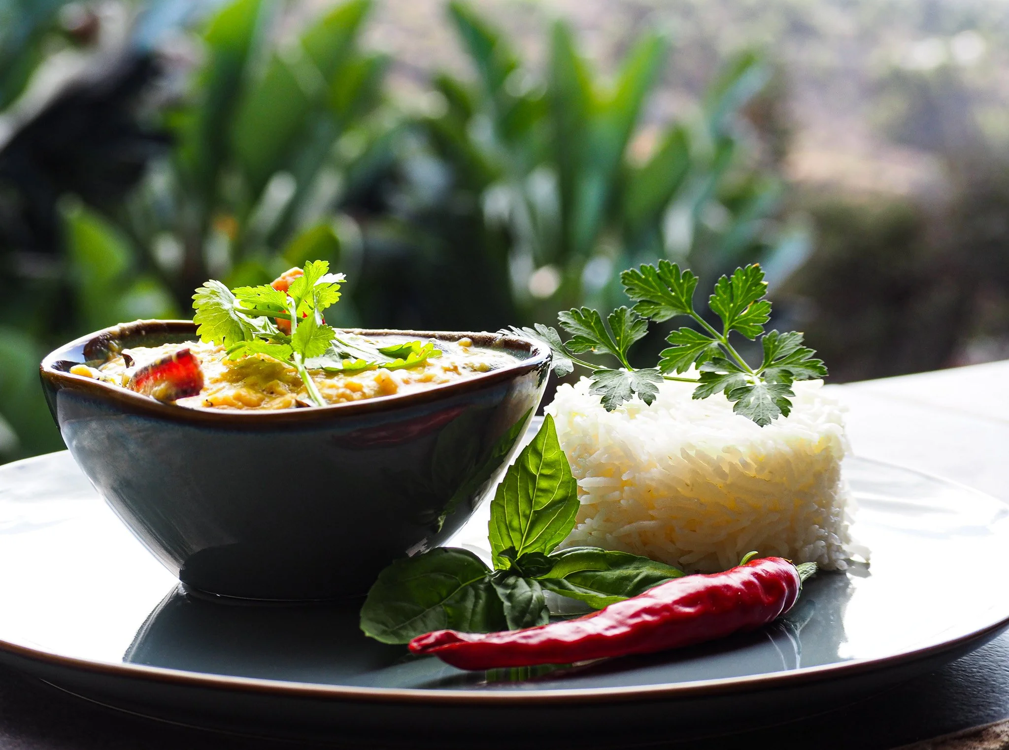 Eine Schüssel mit veganem Curry, daneben Reis, Kräuter, Chili und Basilikum auf einem weißen Teller, mit grünen Pflanzen im Hintergrund.