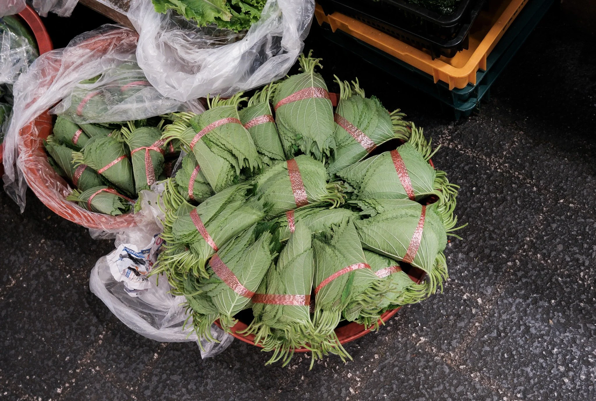 Verschiedene Bündel mit grünen Blättern, die in einem Korb liegen, vermutlich Gemüse, auf einem dunklen, rauen Boden verteilt.