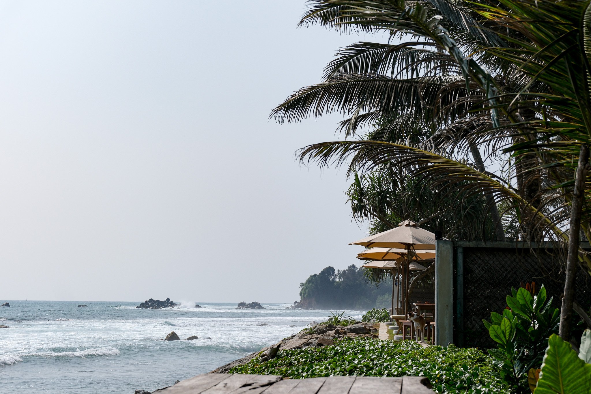 Strand mit Palmen, Sonnenschirmen und Terrasse mit Blick auf das Meer und Felsen im Wasser.