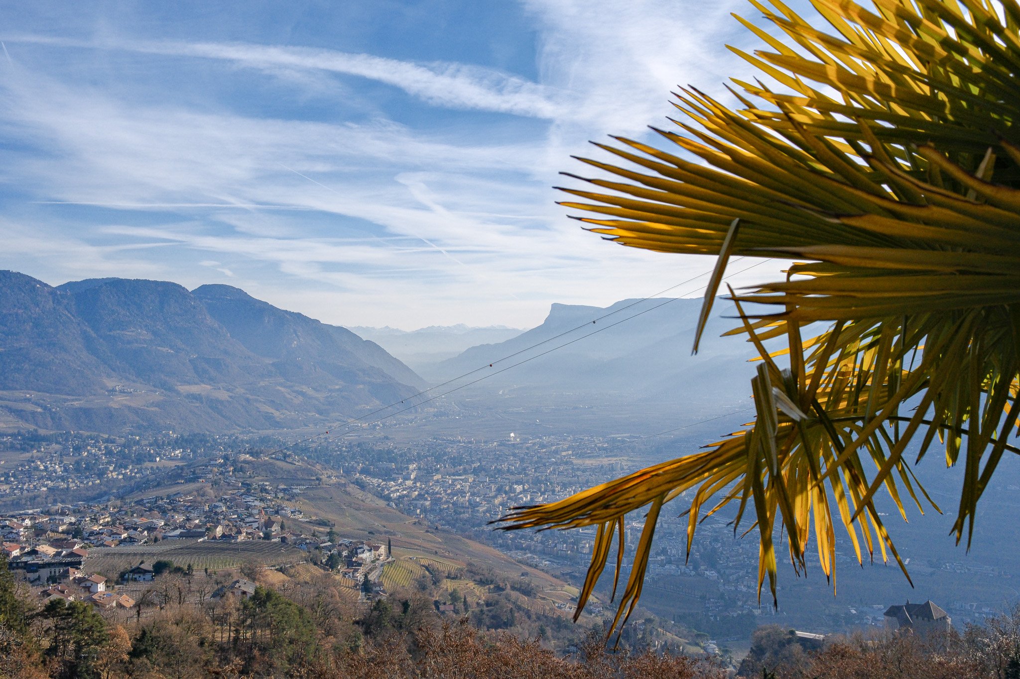 Blick auf die Stadt mit Bergen im Hintergrund, im Vordergrund eine Palmenblätter.