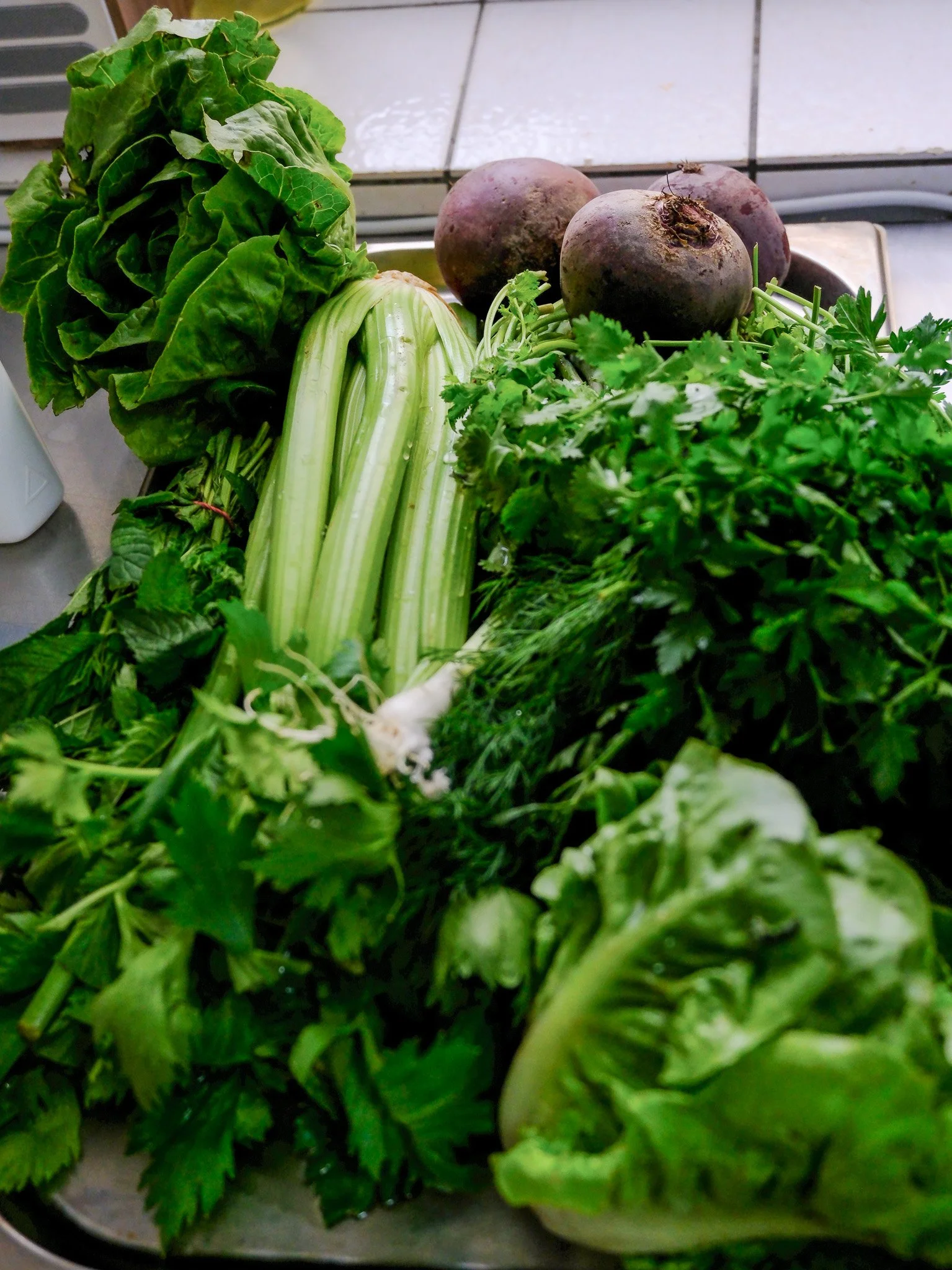 Verschiedene frische grüne und rote Blätter von Salat, Sellerie, Petersilie, Kartoffeln und andere Gemüsesorten.