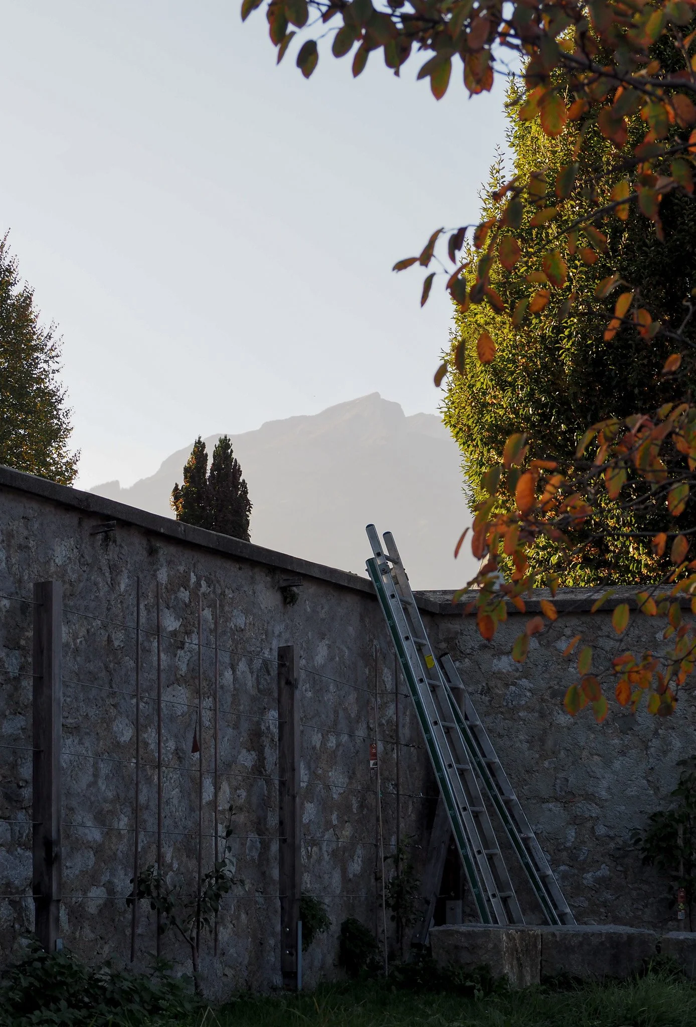 Ein steiler Steinmauer mit zwei Ladders, umgeben von Bäumen und einer kleinen Gartenfläche, Berge im Hintergrund, Tageslicht.