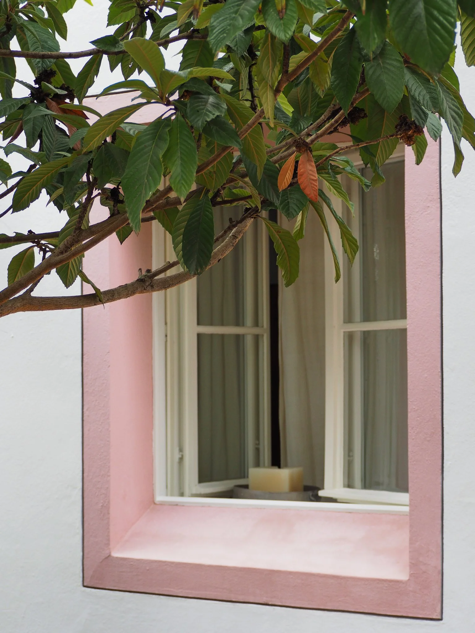 Ein Fenster in einer Wand mit einem pinkfarbenen Rahmen, dahinter eine Kerze im Fensterinnenraum, und ein Baum mit grünen Blättern im Vordergrund.