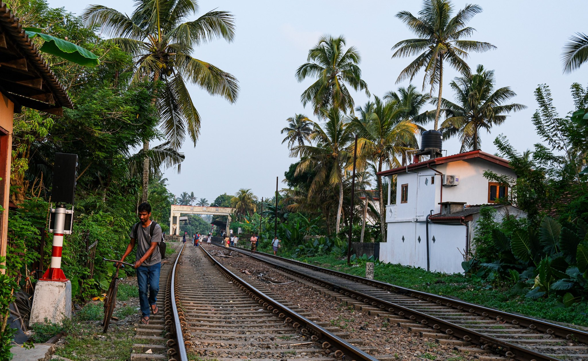 Fußgänger auf einem Bahnsteig in einer ländlichen Gegend, umgeben von Palmen, mit Gleisen und einem weißen Haus.