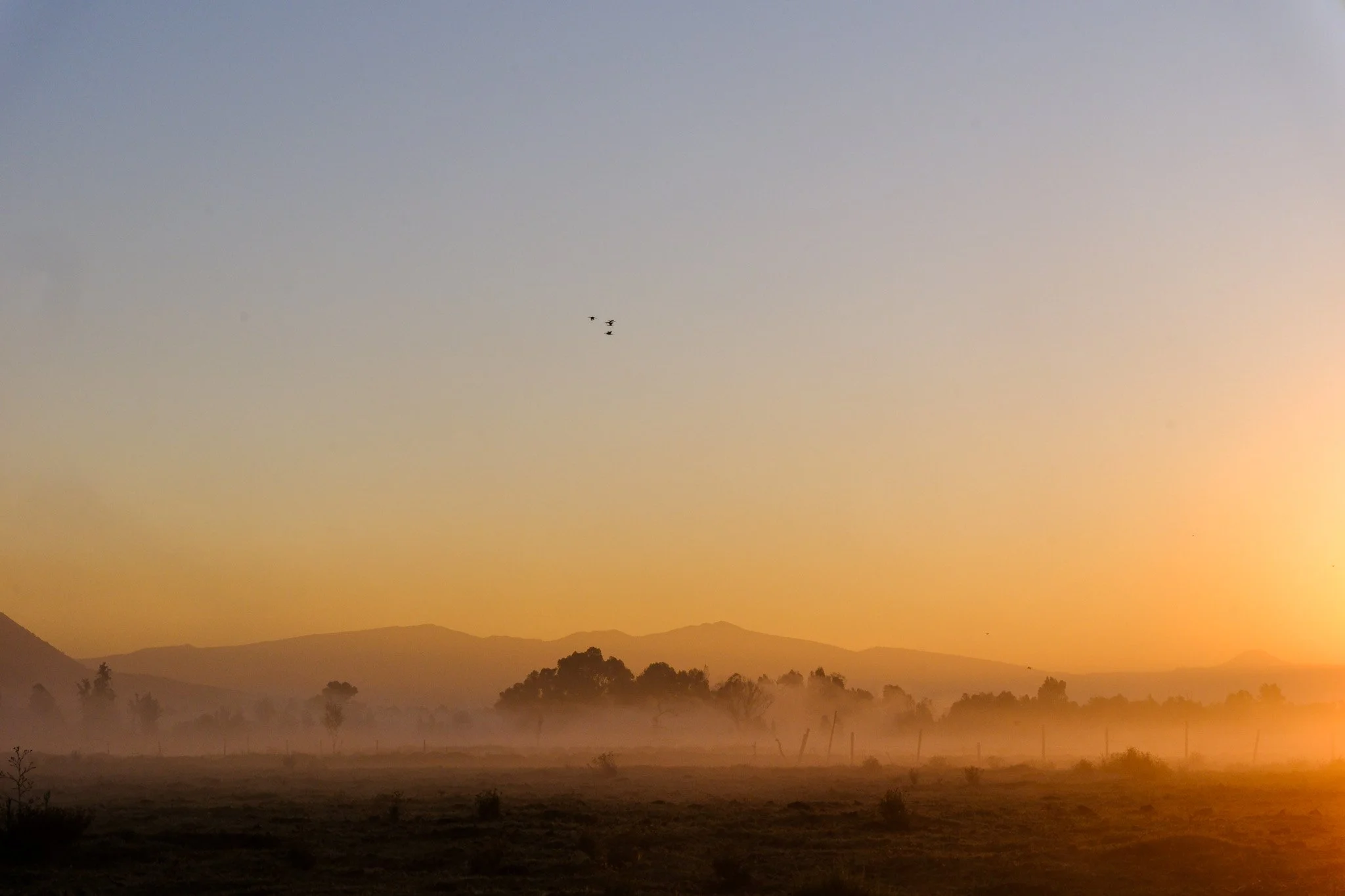 Sonnenaufgang über einer ländlichen Landschaft mit Bergen im Hintergrund, leichtem Nebel und Vögeln am Himmel.