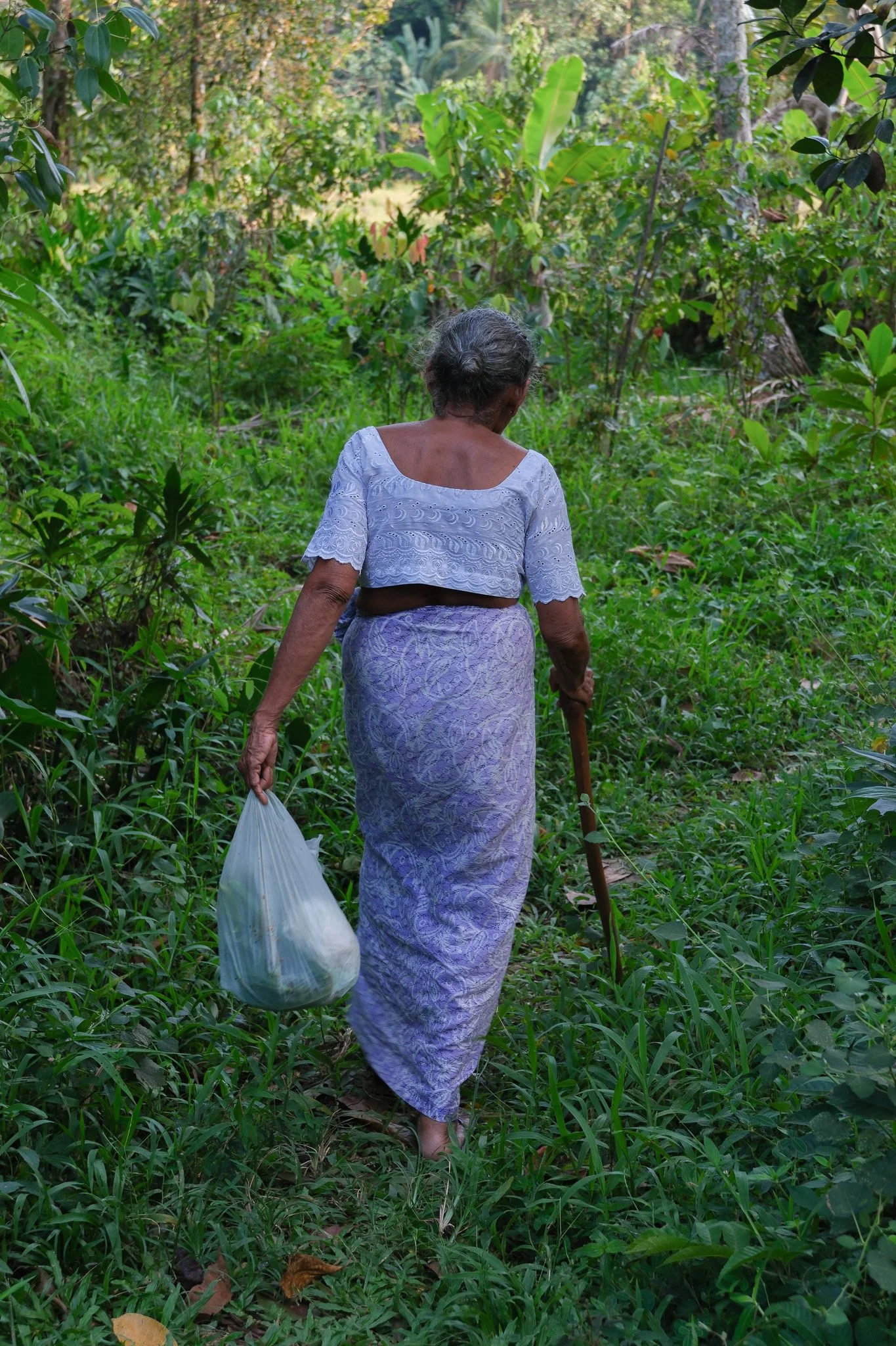 Ältere Frau wandert durch einen grünen Dschungel mit einem Gehstock, trägt ein weißes Oberteil und einen lila Rock, und trägt eine Plastiktüte in der Hand.