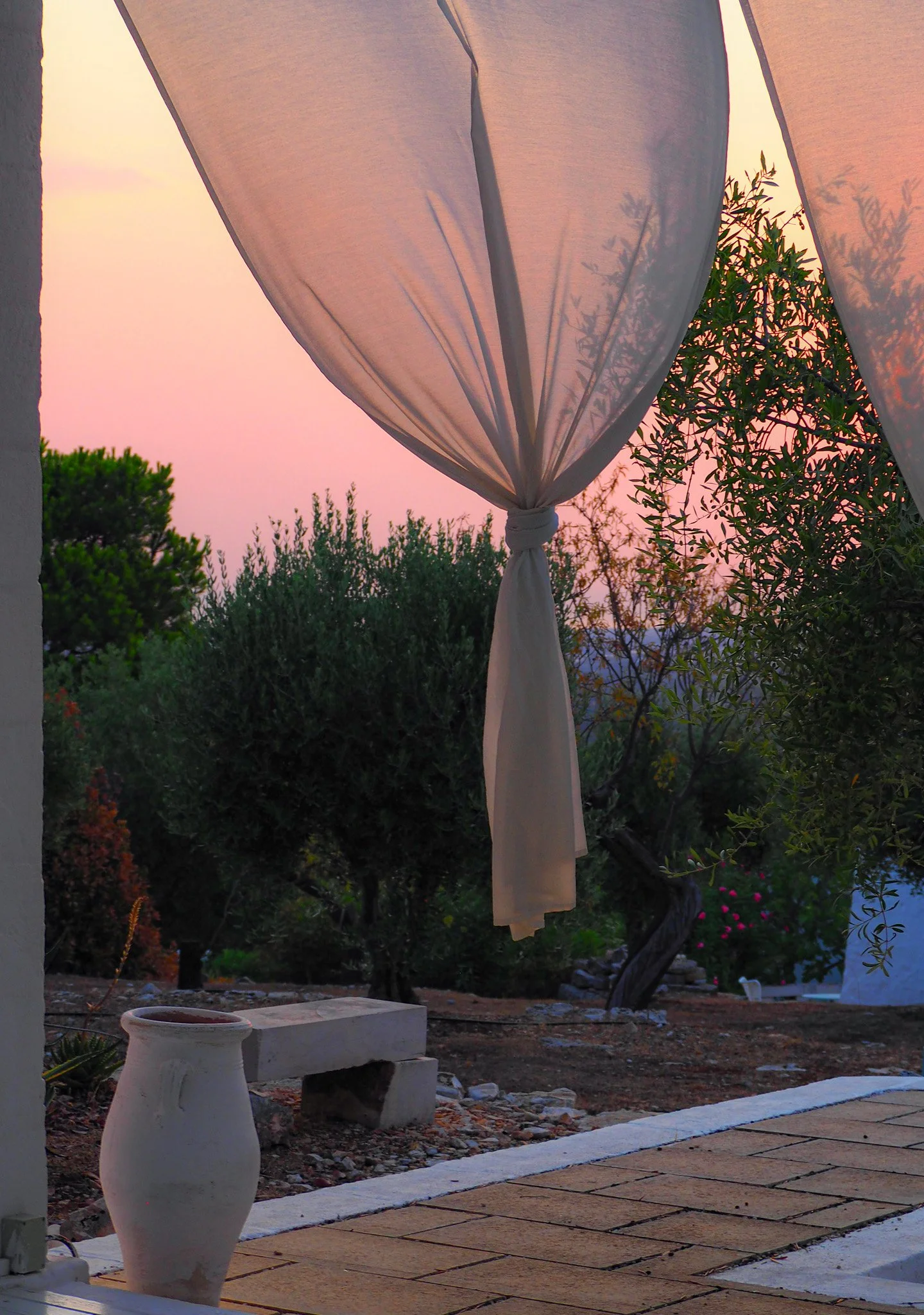 Blick auf einen Garten bei Sonnenuntergang mit einem weißen Sonnenschirm, Pflanzen und antiken Töpfen.