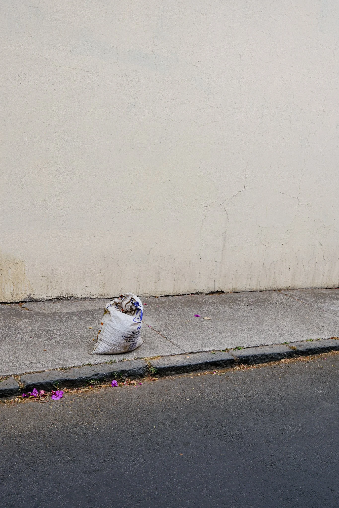 Ein Papiersack liegt auf dem Bürgersteig neben einer Wand, mit vereinzelten lila Blütenblättern auf dem Boden.