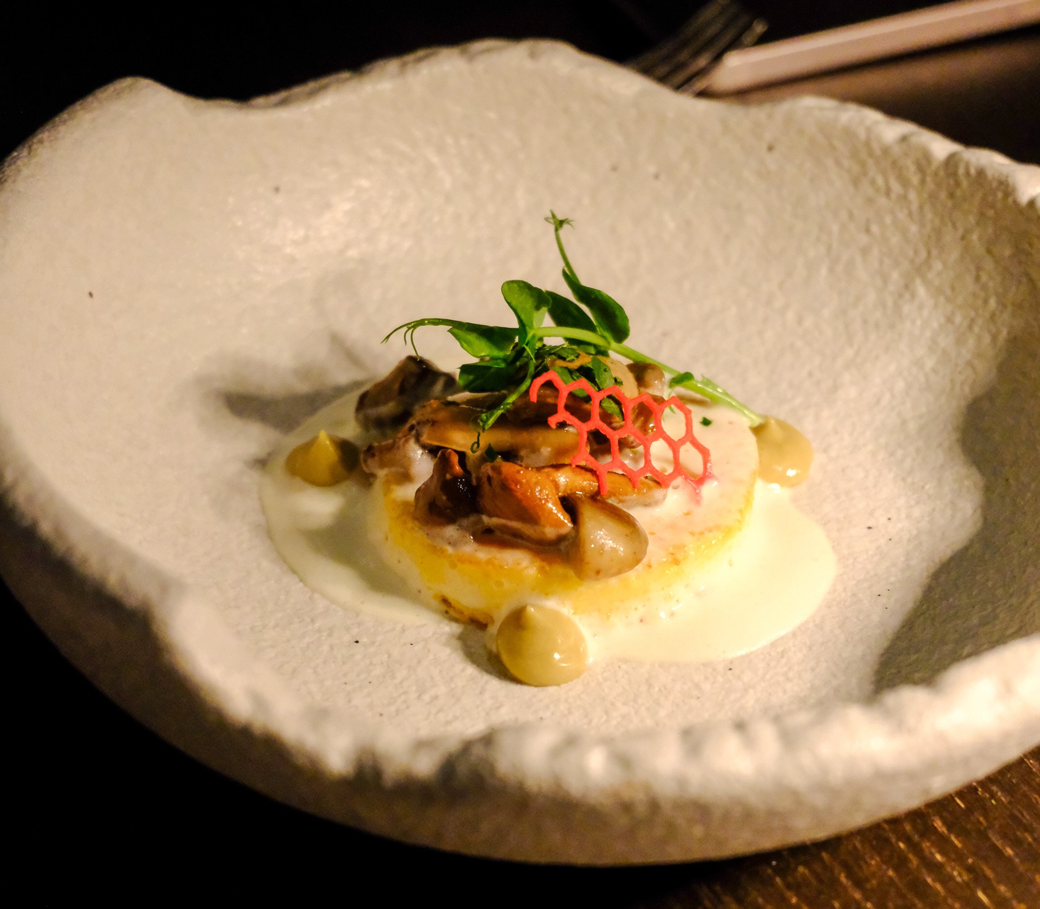 Feines Gericht mit aromatischen Pilzen, einer cremigen Sauce, Garnierung aus frischen Kräutern und einer dekorativen roten Gitterdekoration auf einem weißen Porzellan-Teller.