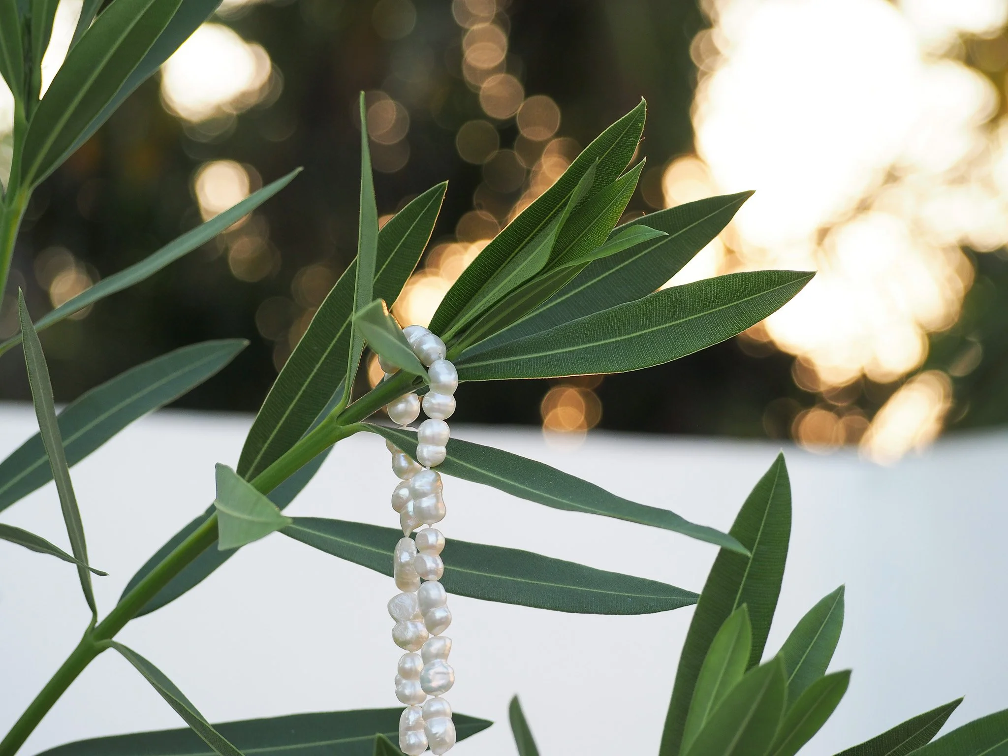 Perlenkette hängt an einem Ast mit grünen Blättern, im Hintergrund unscharfes Sonnenlicht