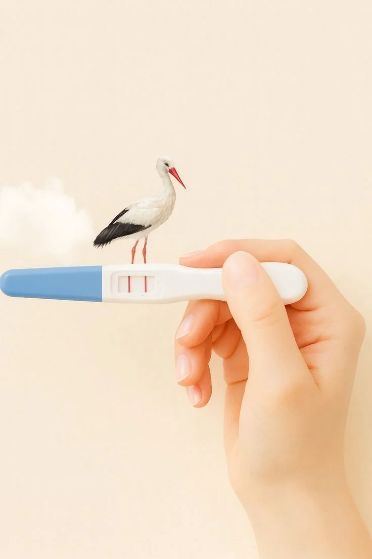 Fertility nutrition