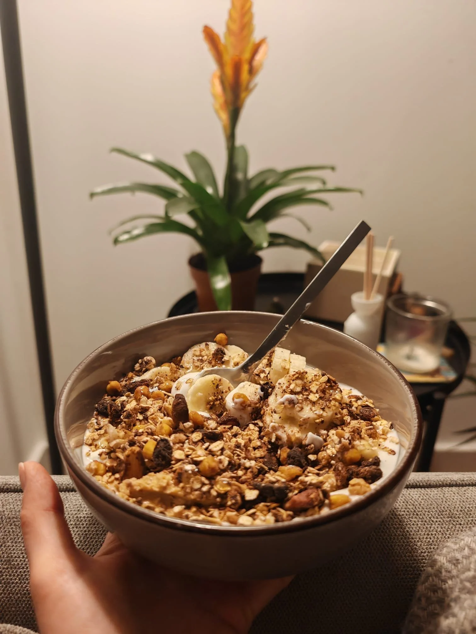 A bowl of yogurt topped with granola, banana slices, and other toppings, held by a person with a hand visible. In the background, a potted pineapple plant and some containers are visible in a room with plain walls.