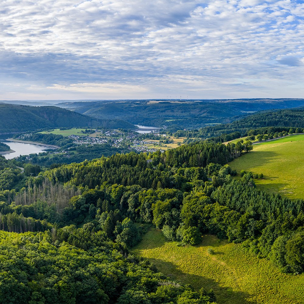 Luftaufnahme des Rursee-Tals in der Eifel mit Stausee, ausgedehnten Wäldern und einem Dorf im Talgrund.