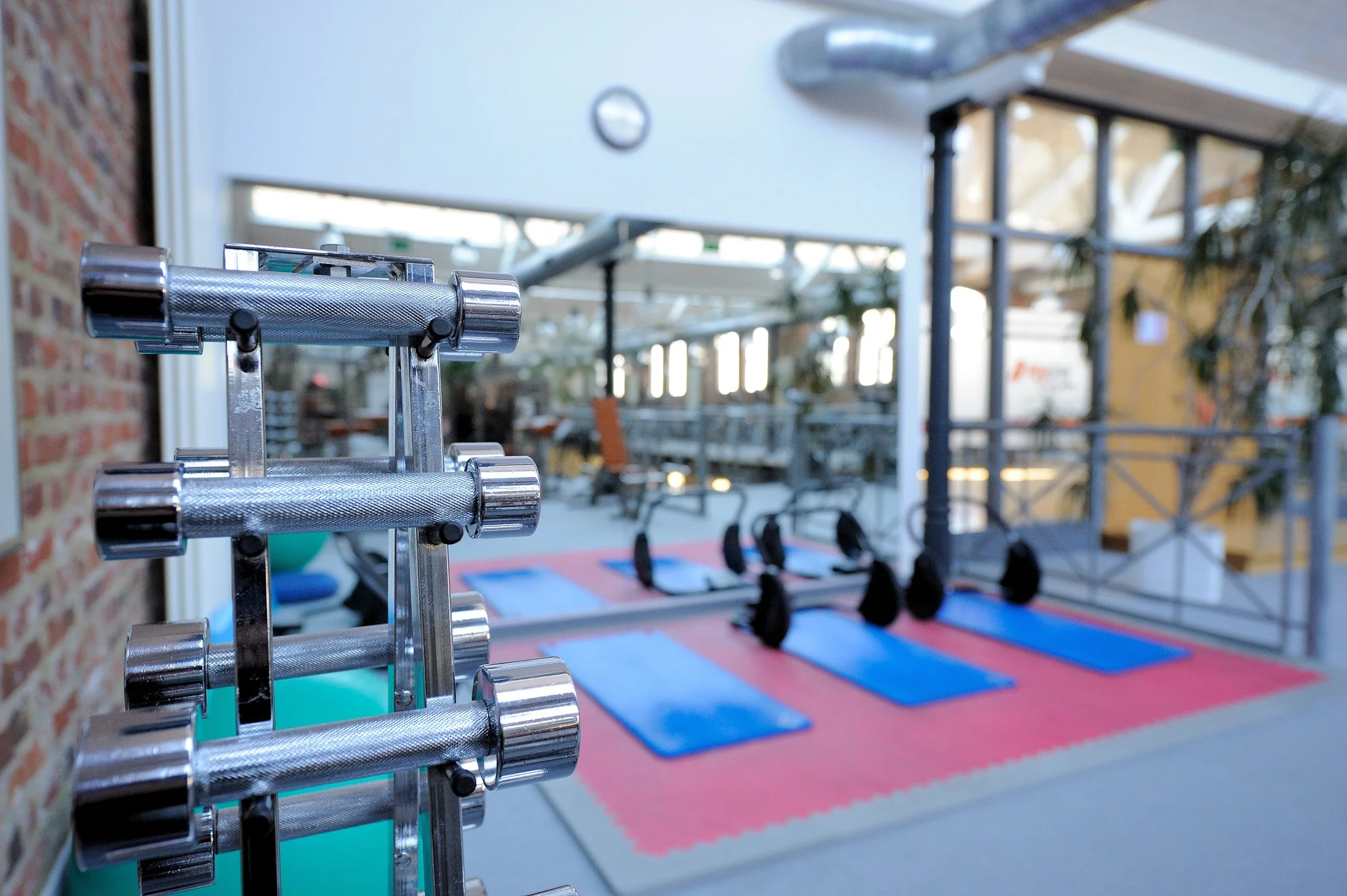 Trainingsfläche eines Fitnessstudios mit Kraftgeräten – Unternehmensreportage in Köln.
