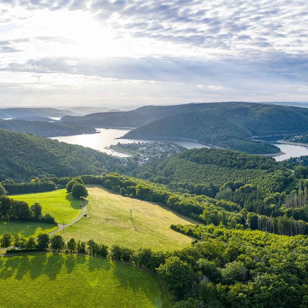 Drohnen-Panorama vom Rursee in der Eifel: bewaldete Hügel, Wiesen und ein Ort am Seeufer.