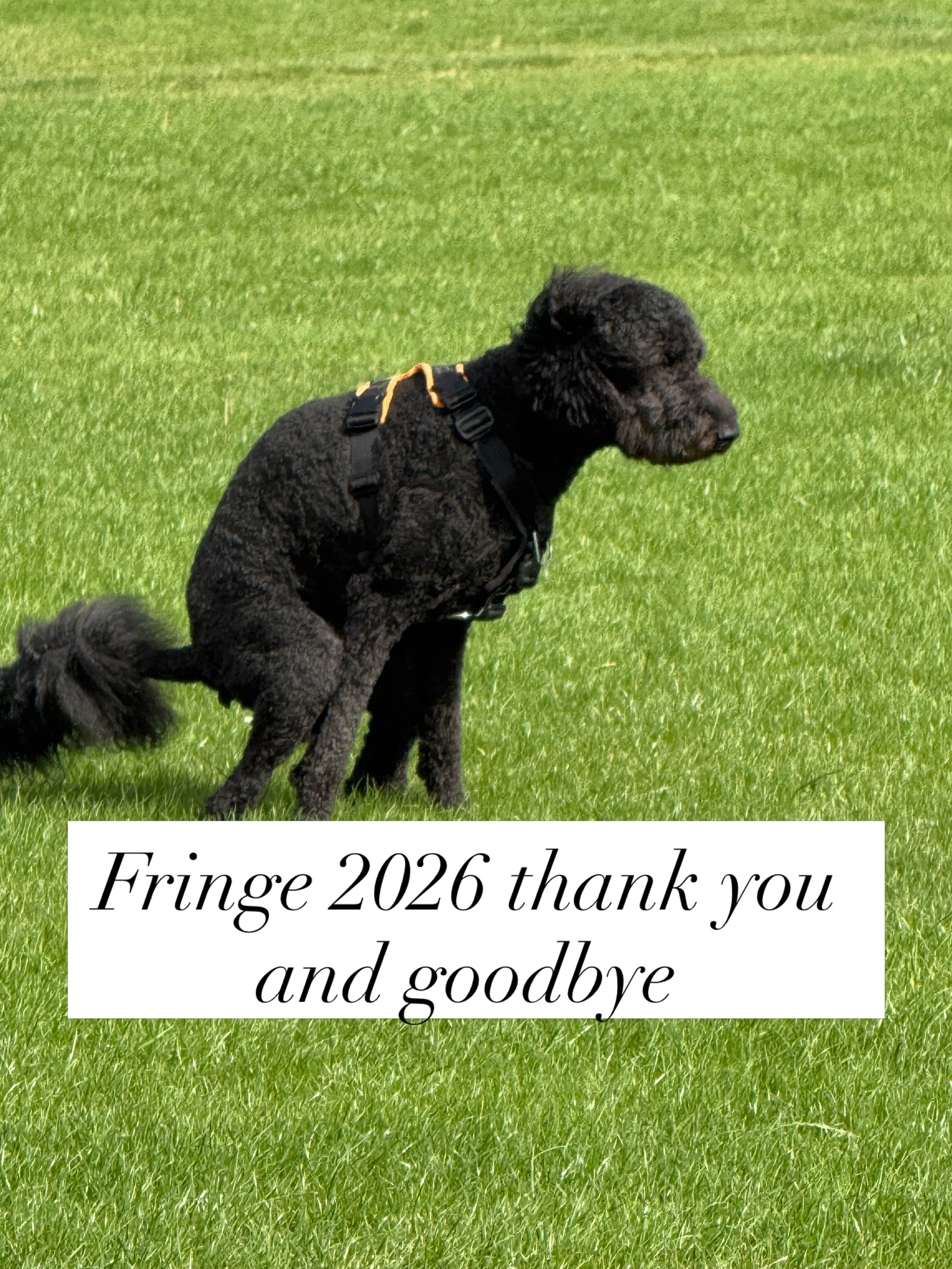Fringe 2026 is over and I&rsquo;m exhausted- but I already miss it for the abusive partner it is 😂

So gruelling and hard, my social battery is dead&hellip;I am dead. But what a special month doing my WIP &ldquo;Good Boy&rdquo;, having people choose