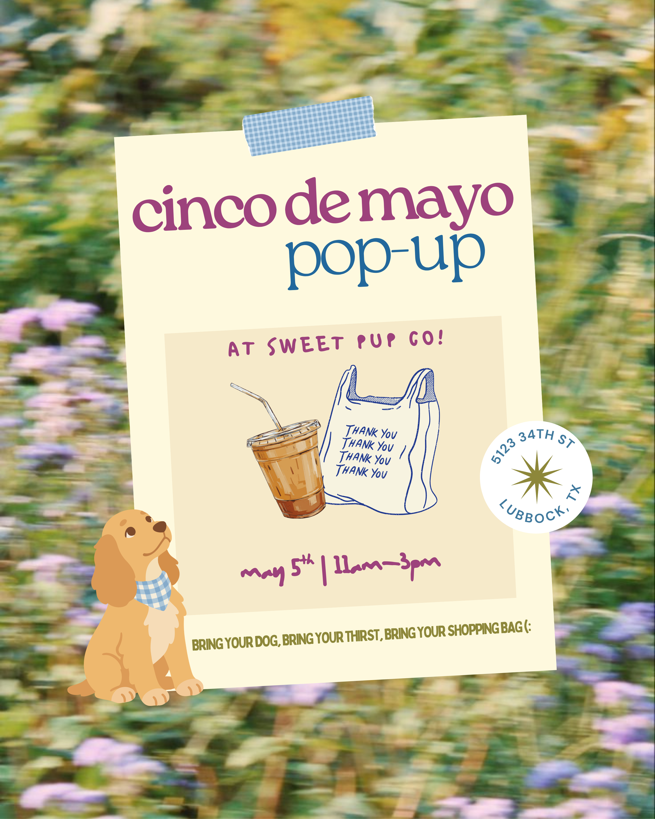 Cinco de Mayo Pop-up