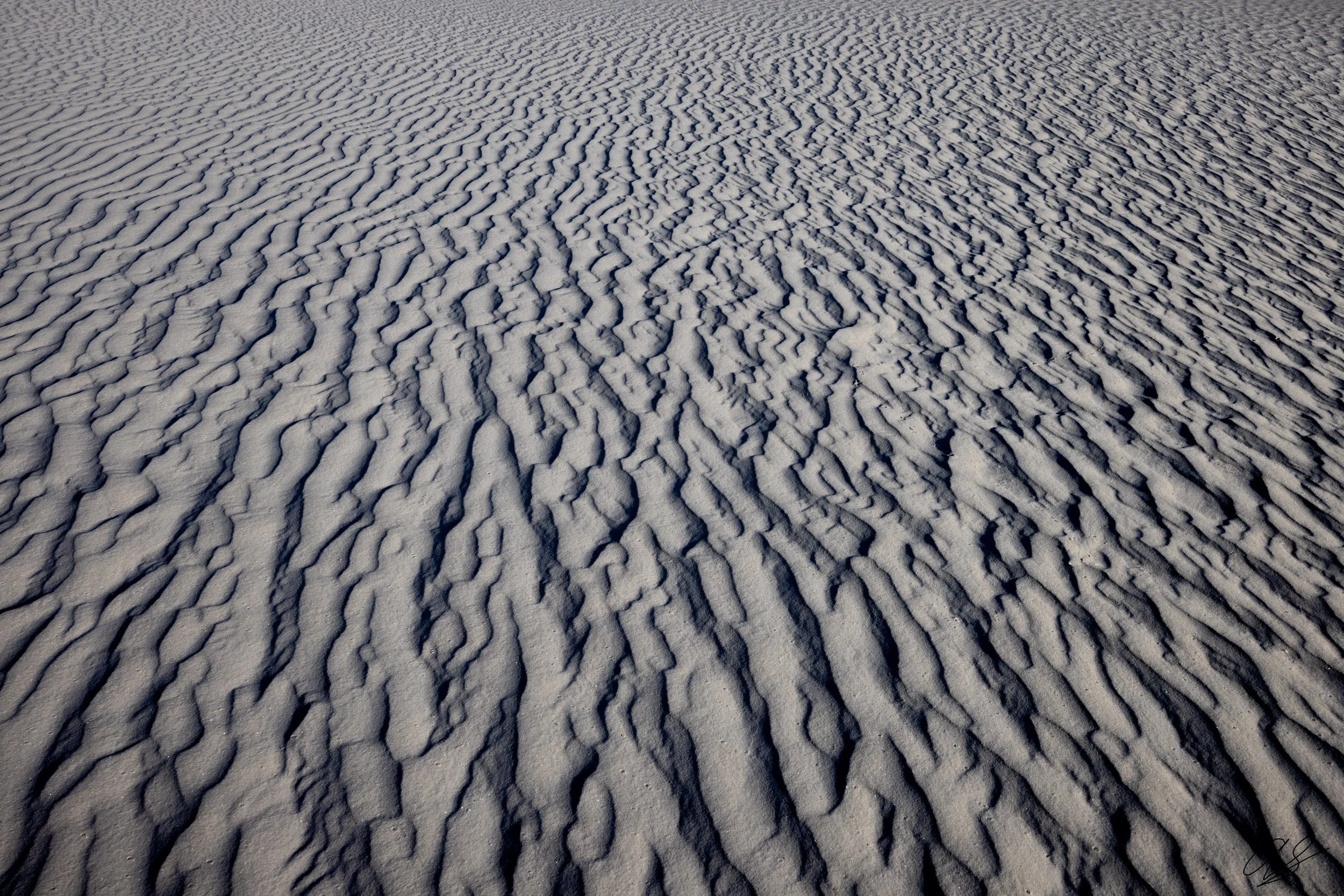 Textures of White Sands