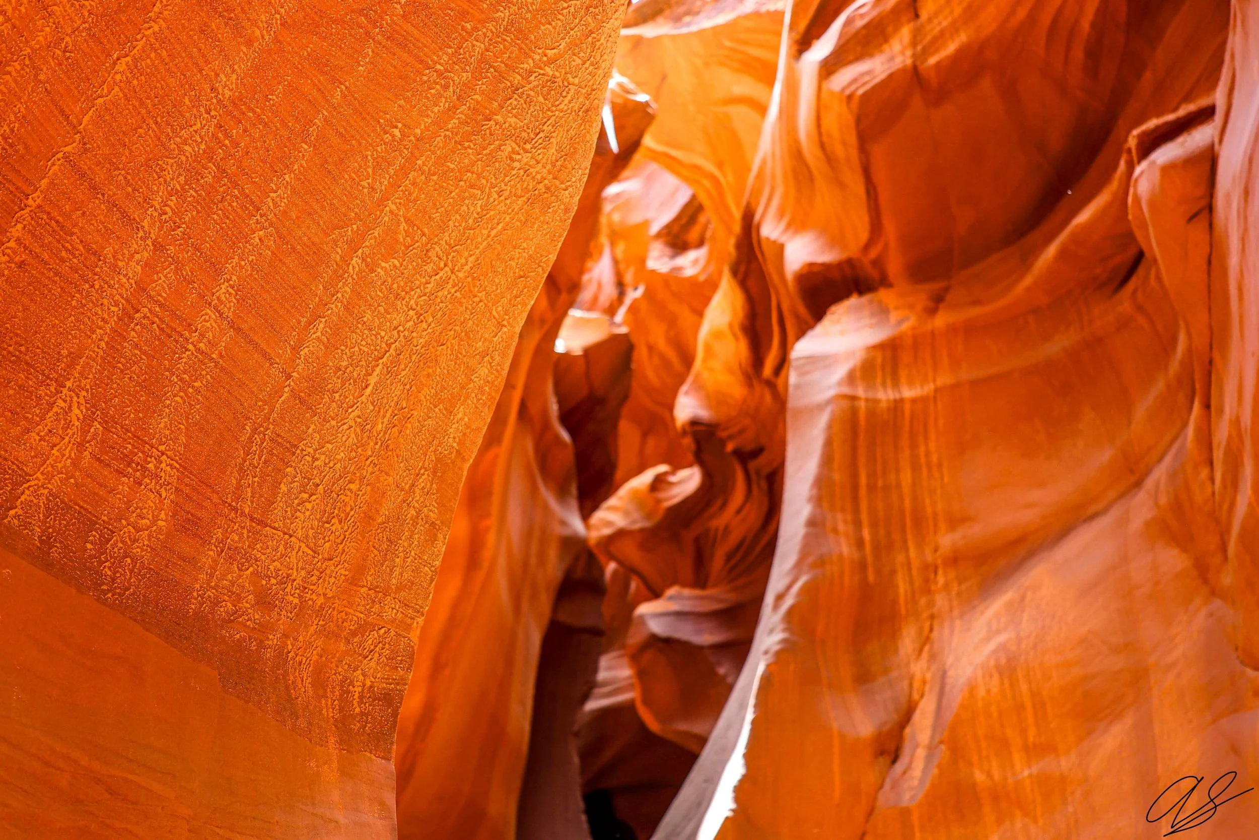 Textures and Curves.jpg