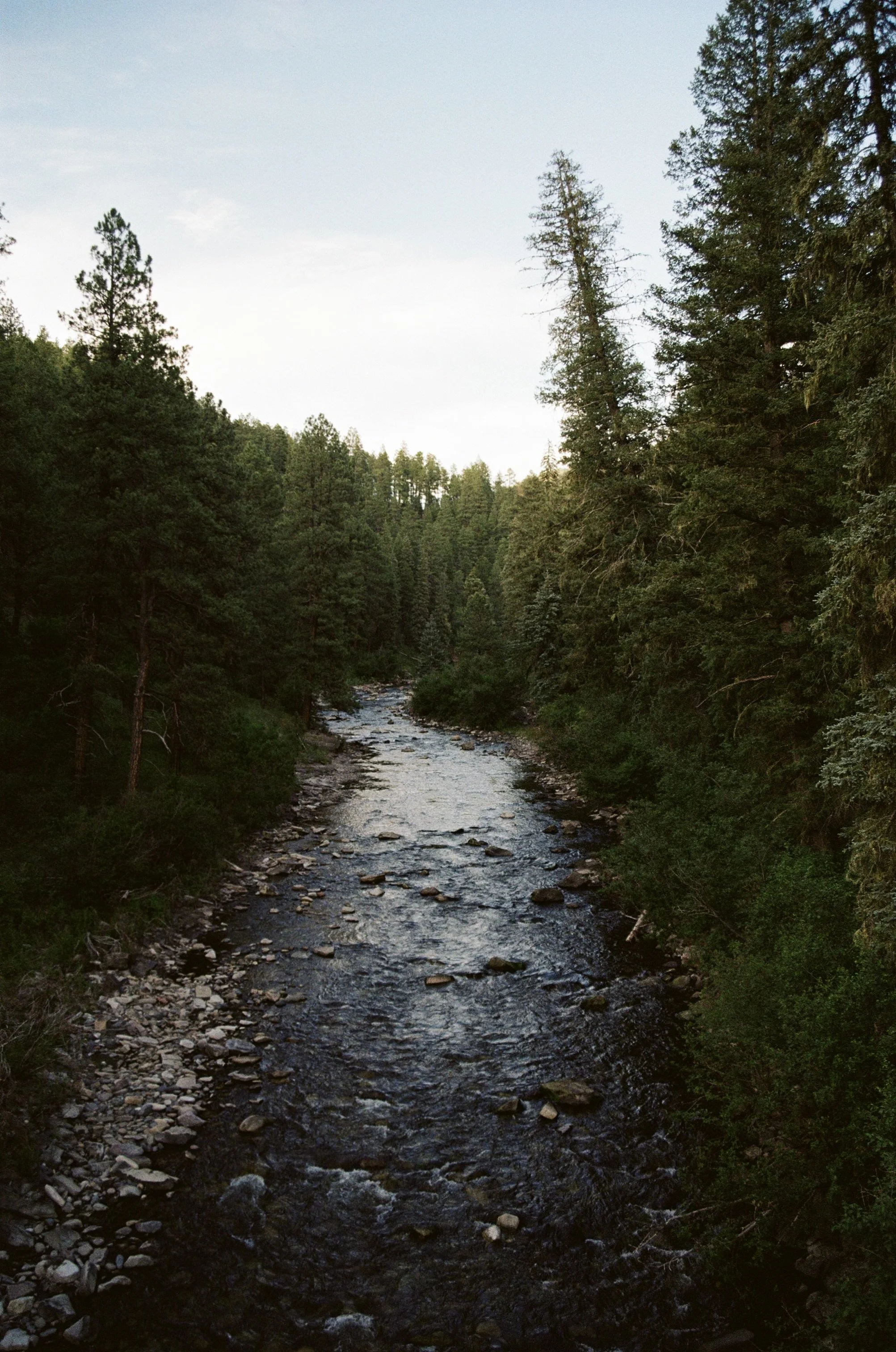 2D3BF7A0-E182-4530-A5E1-2B227A34DDEC_1_201_a.jpeg