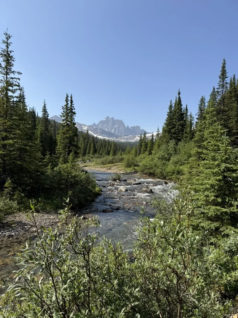 960F3F39-D476-4746-BC78-6C70B10CB88D_1_105_c.jpeg