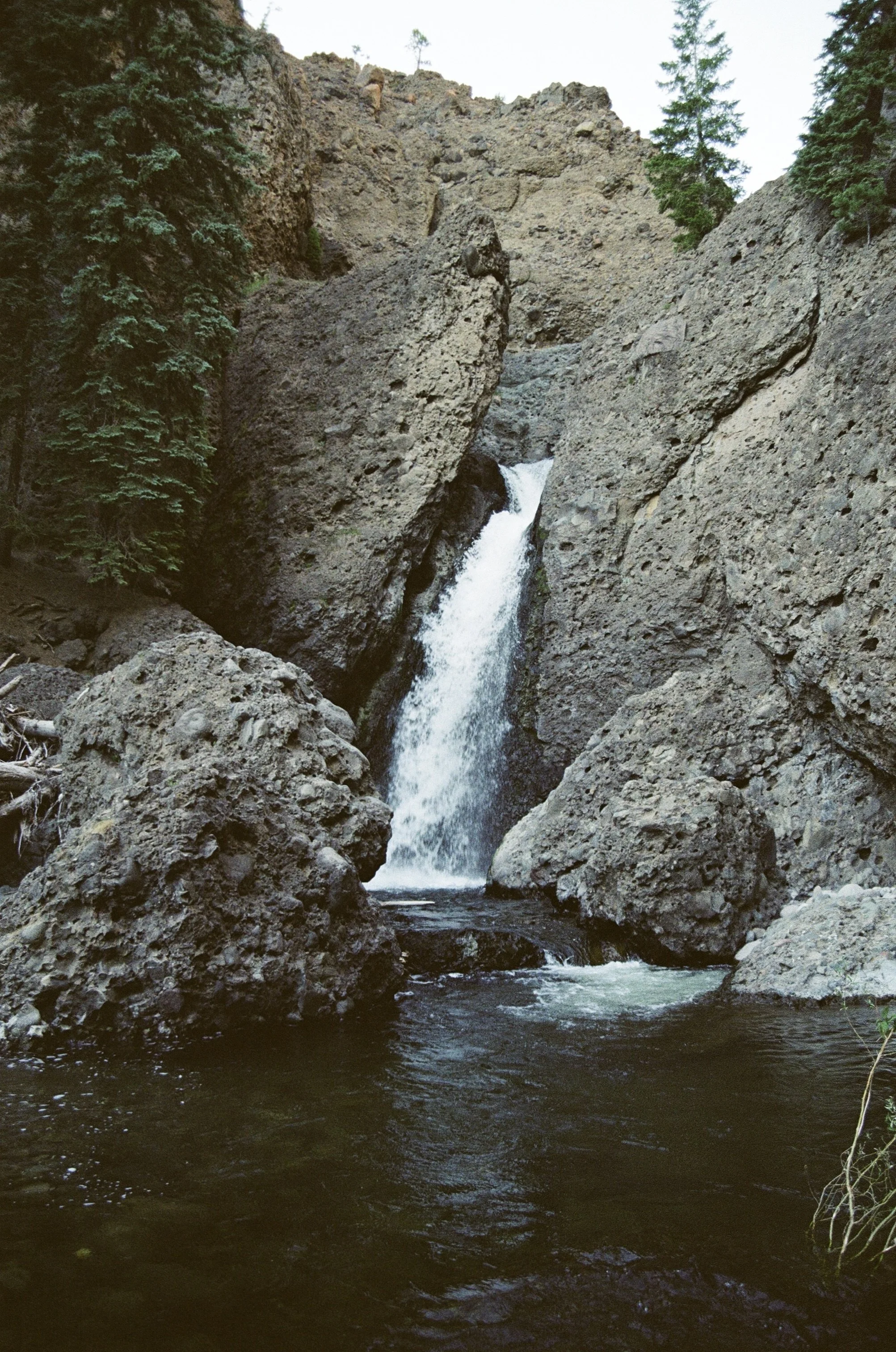 520AC7E7-AADB-4B67-AACE-D97A4A483125_1_201_a.jpeg