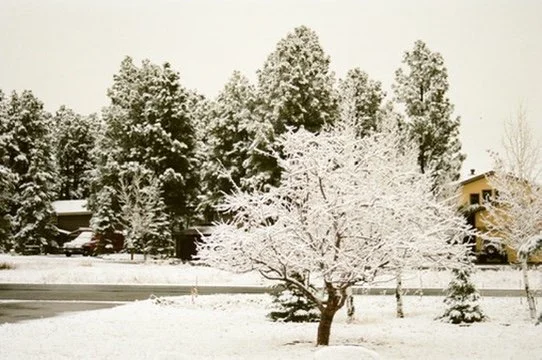 9C0F7994-B4F4-434E-A06E-89DB48B1F28A_4_5005_c.jpeg
