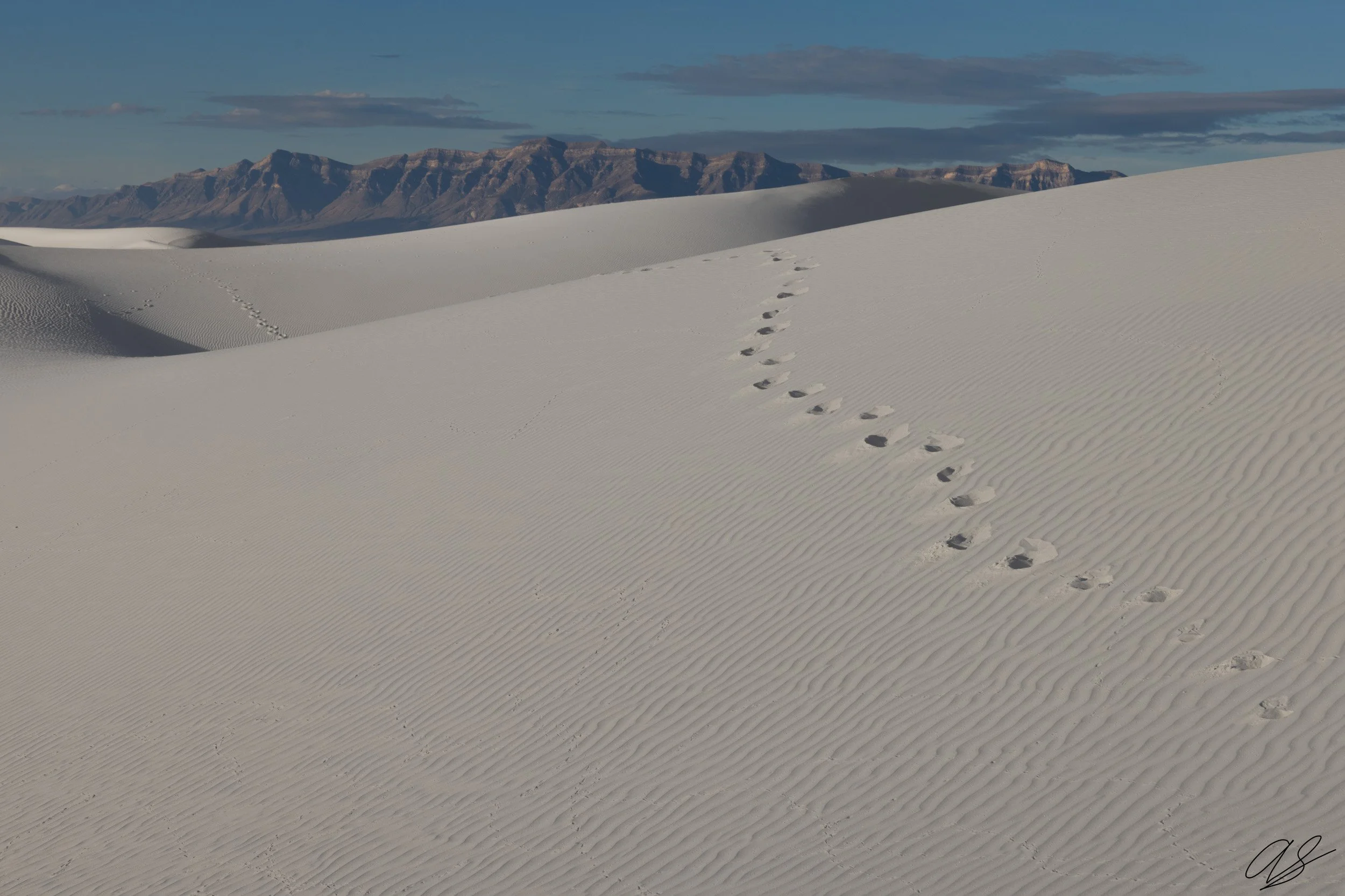 Path to the Mountain