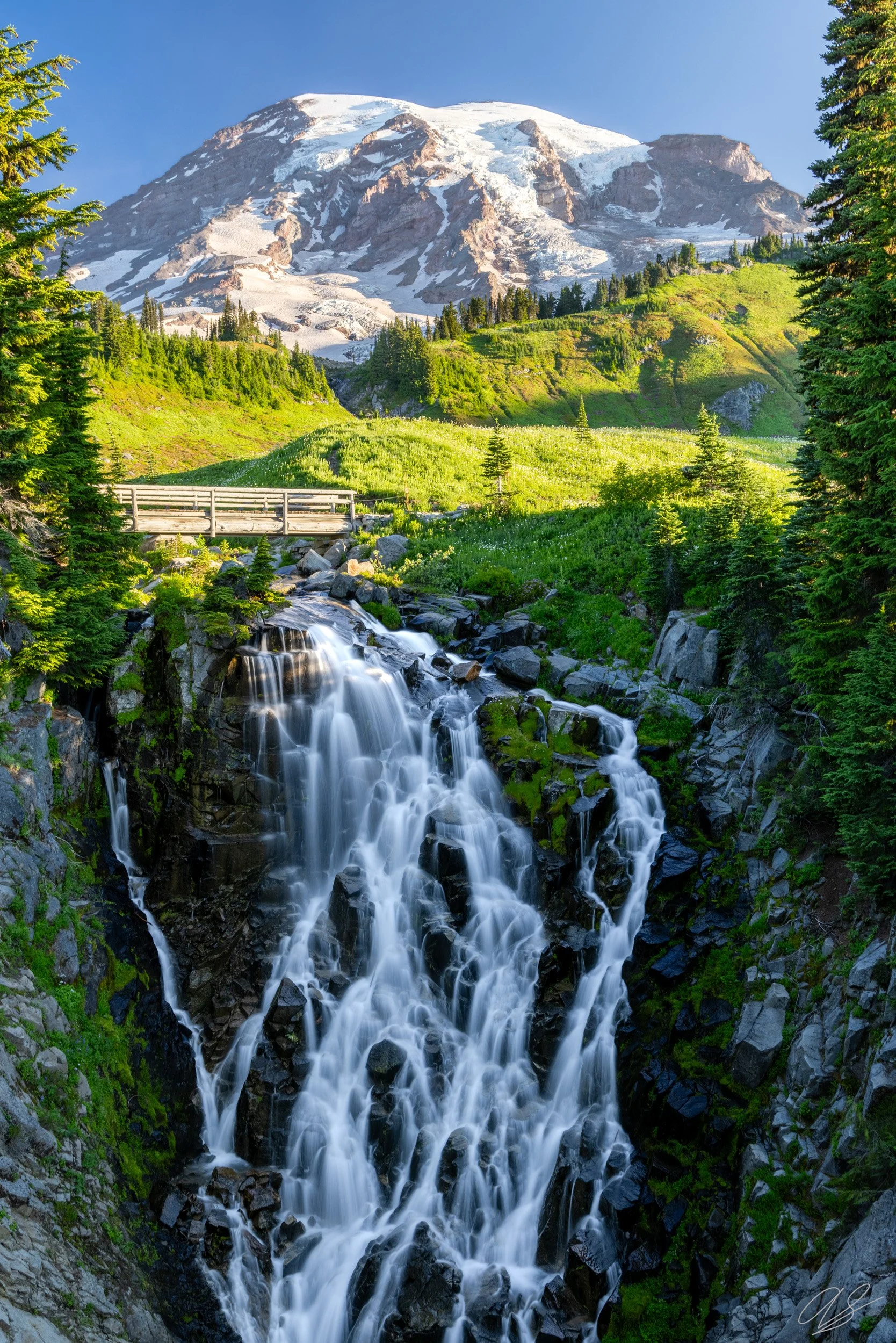 Portrait of Paradise