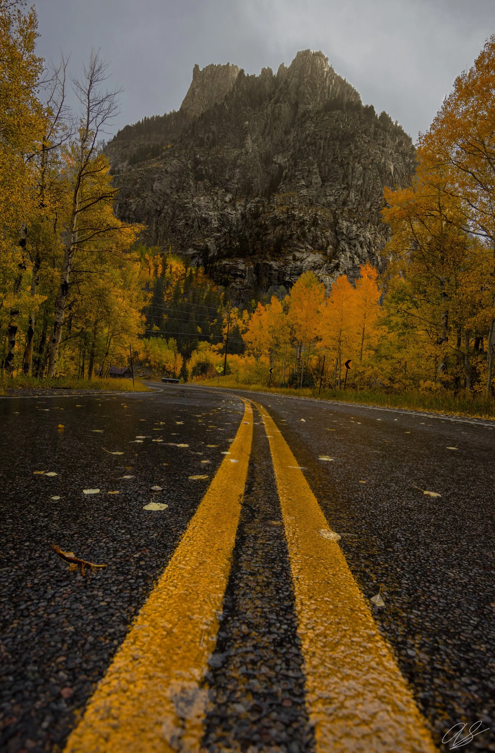 Fall Road