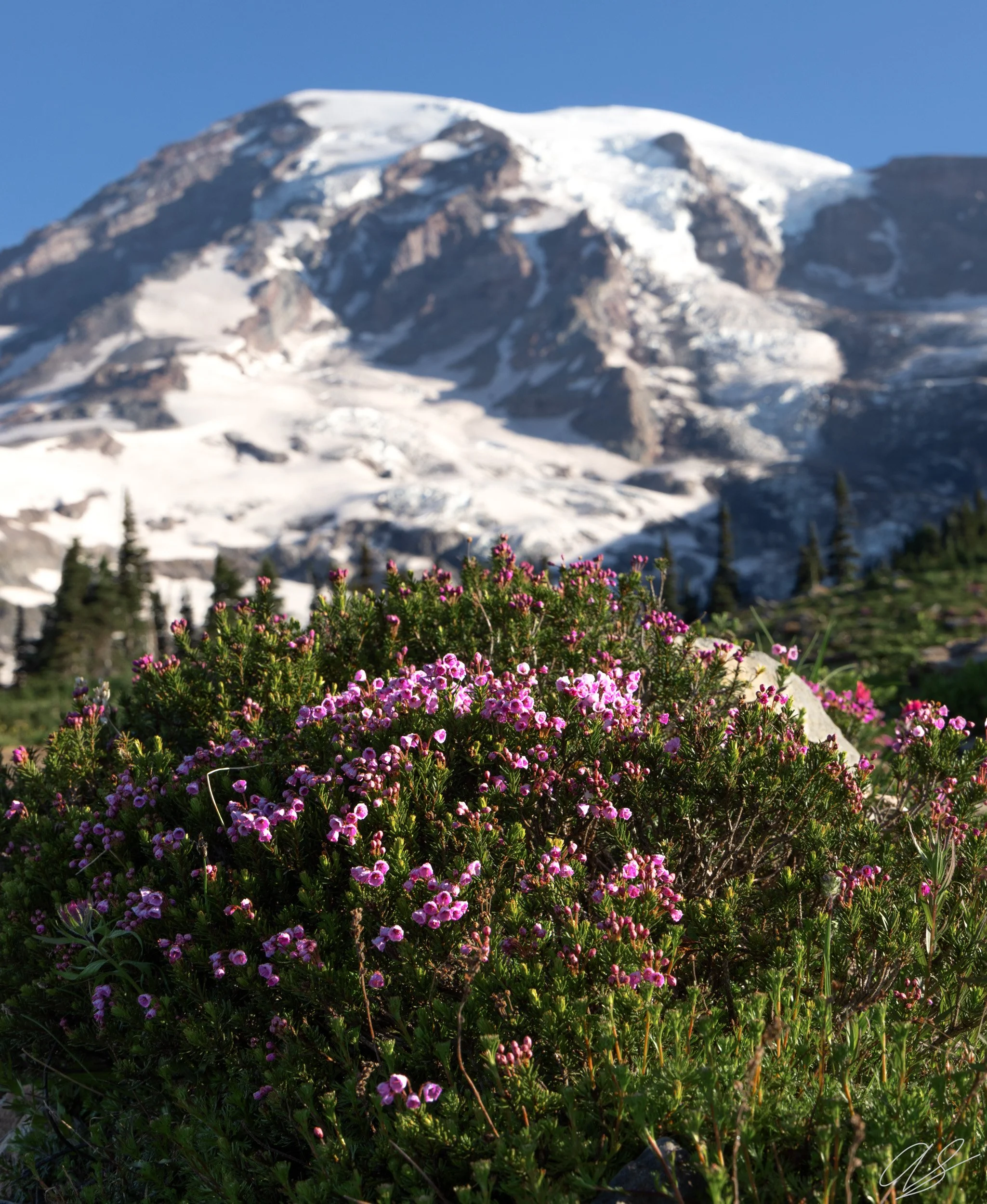 Roof of the Cascades