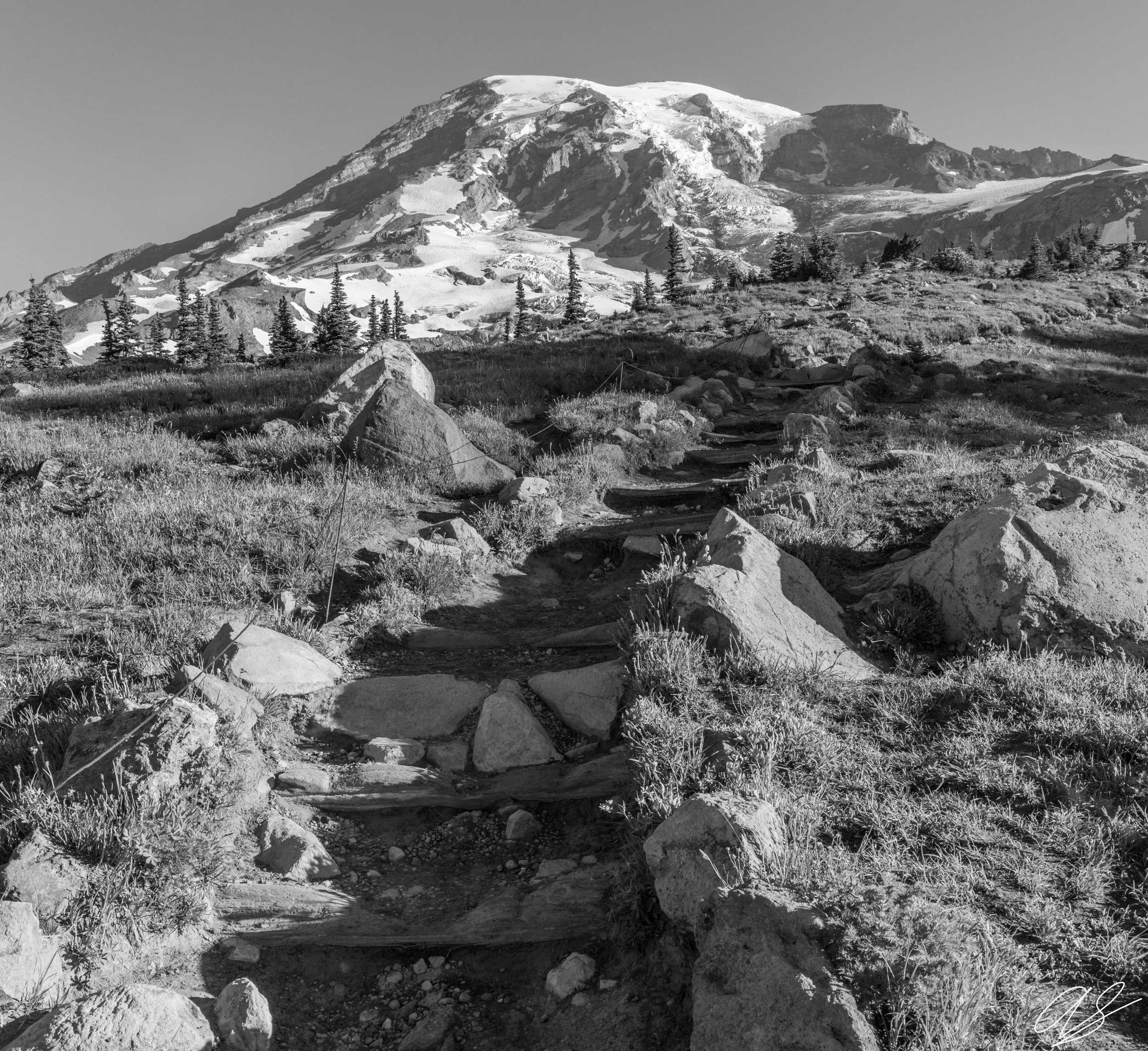 Trail to Rainier